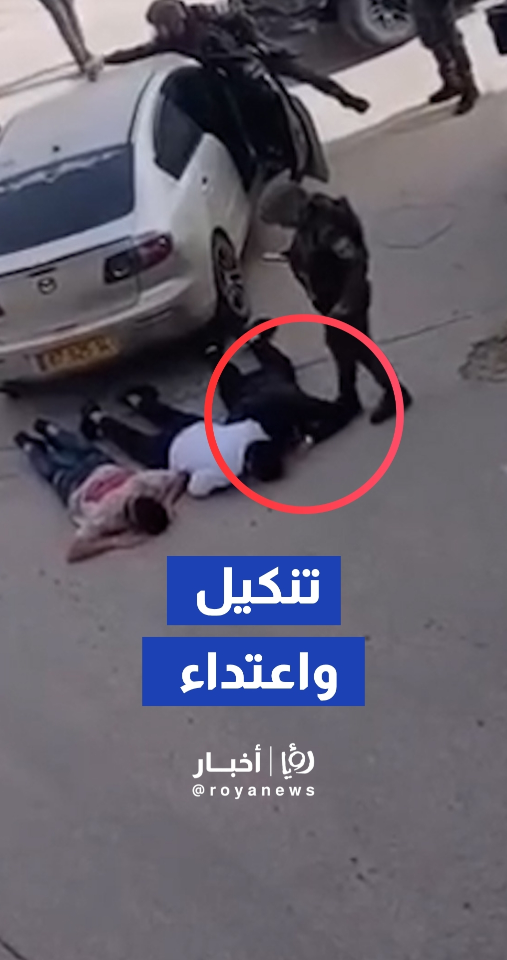 جنود الجيش "الإسرائيلي" ينكلون بمجموعة من الشبان في الخليل