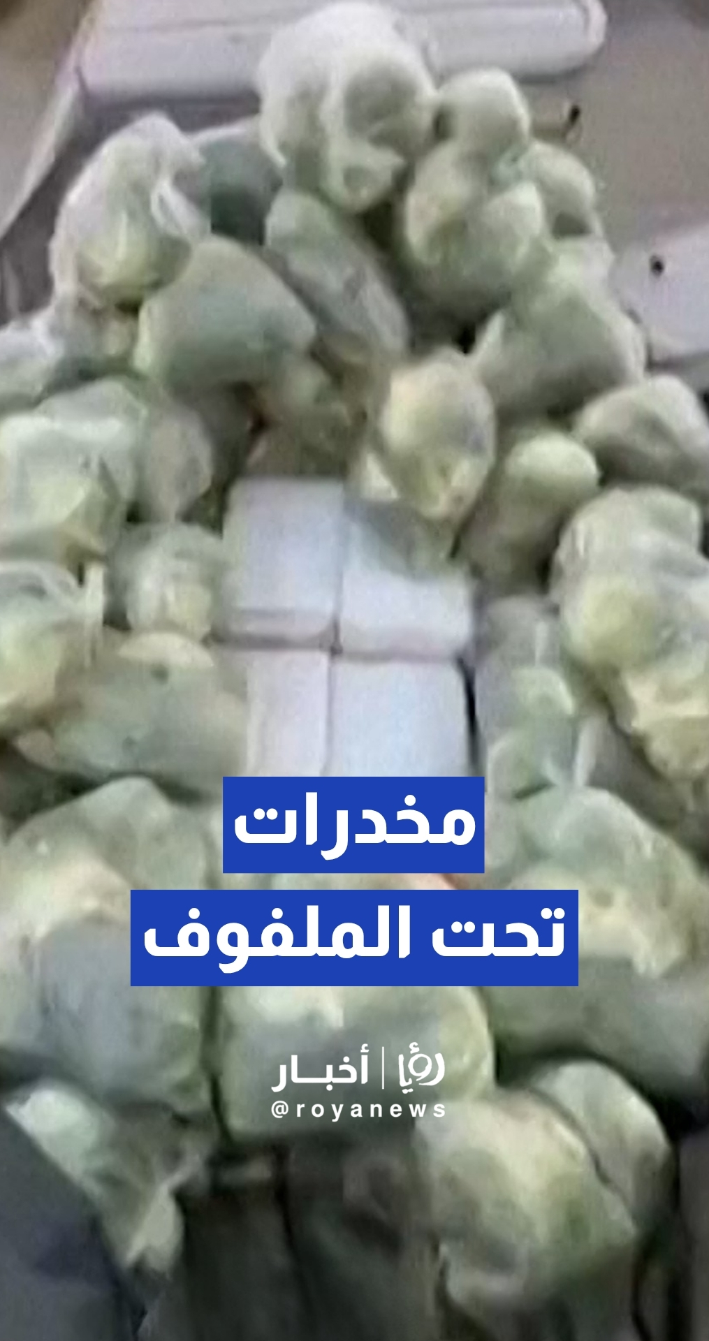 تايلاند تحبط تهريب 1.6 طن من المخدرات مخبأة تحت شحنة ملفوف