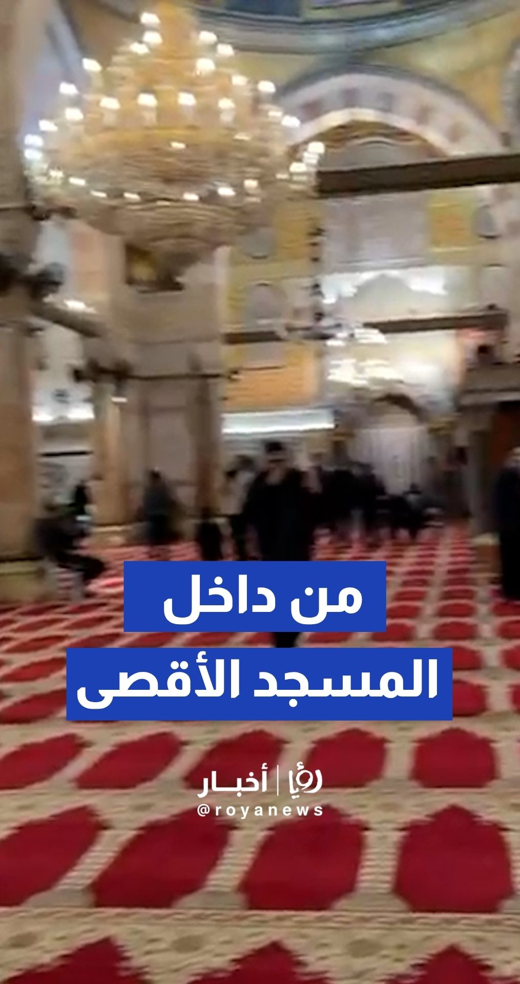 مشاهد من داخل المصلى القبلي، بالمسجد الأقصى بالتزامن مع توافد المصلين لأداء صلاة الفجر بعد أربعين يوما من الإغلاق