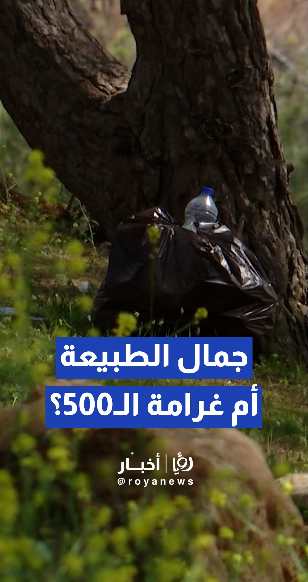 37 ألف مخالفة و500 دينار غرامة.. وزارة البيئة تشدد رقابتها على المتنزهات