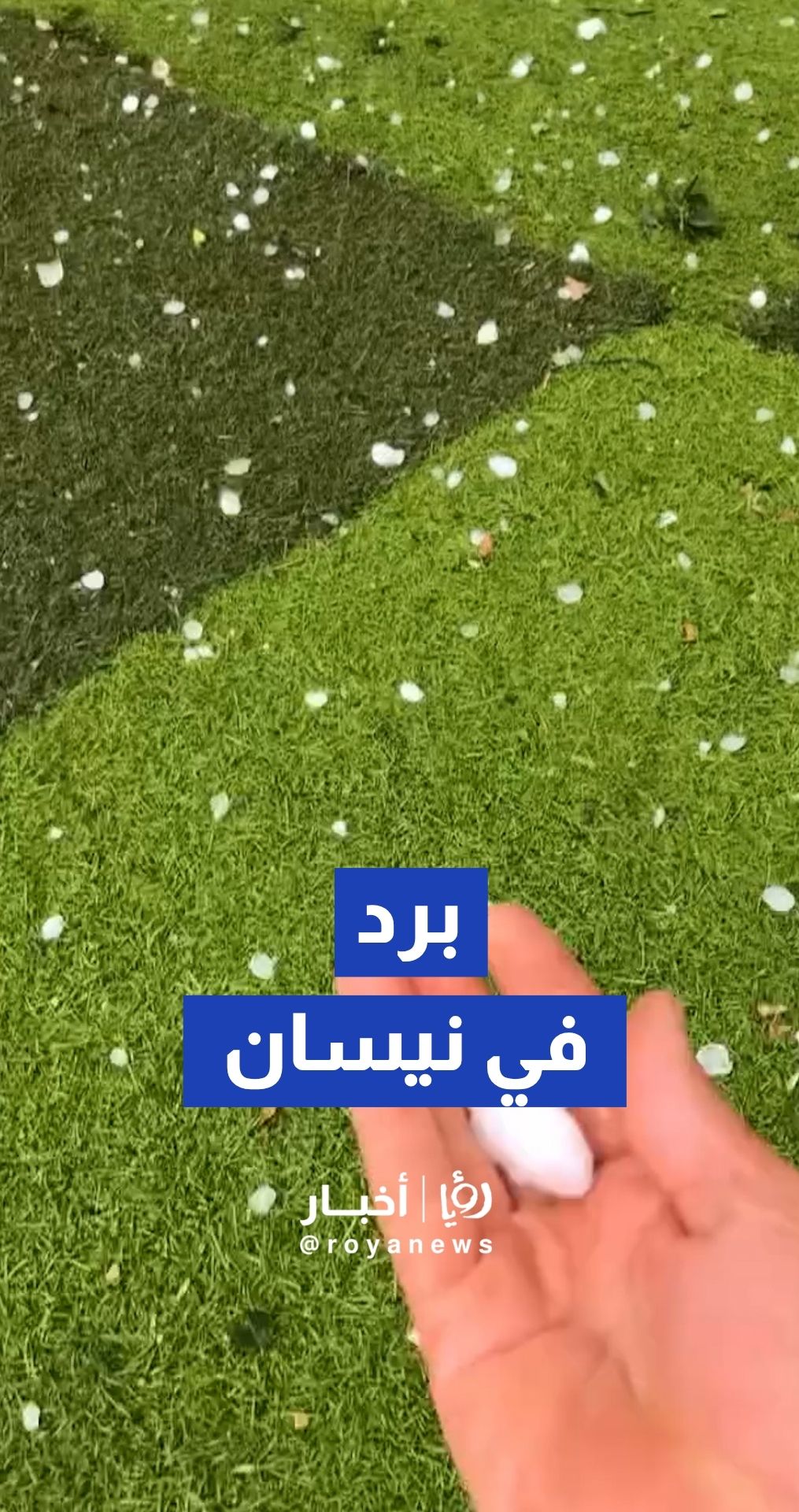 تساقط تاريخي للبرد يفاجئ الأردنيين في شمال الأردن