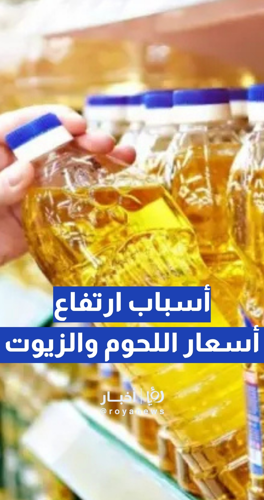 علاونة يوضح أسباب ارتفاع اللحوم والزيوت في الأردن