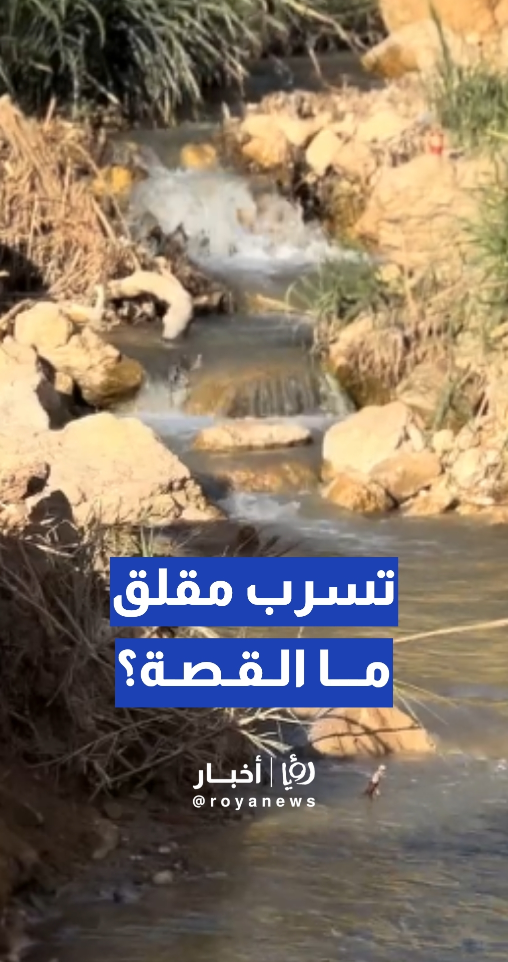 مواطن: كارثة قد تحدث لسد الكفرين بسبب تسرب مياه ملوثة إلى البحاث