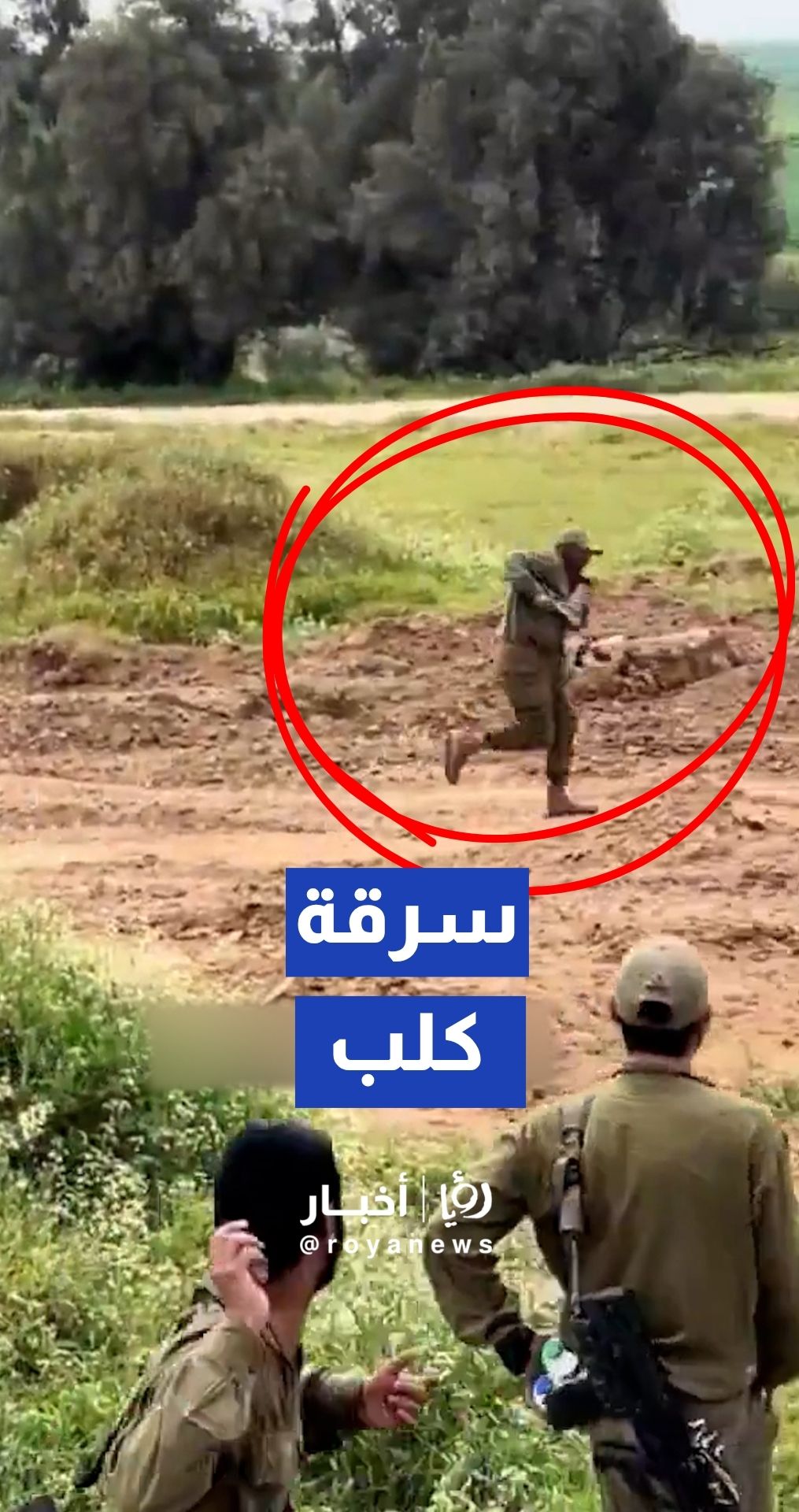 فيديو متداول يوثق جنديا إسرائيليا يسرق جروا من أمه جنوبي لبنان