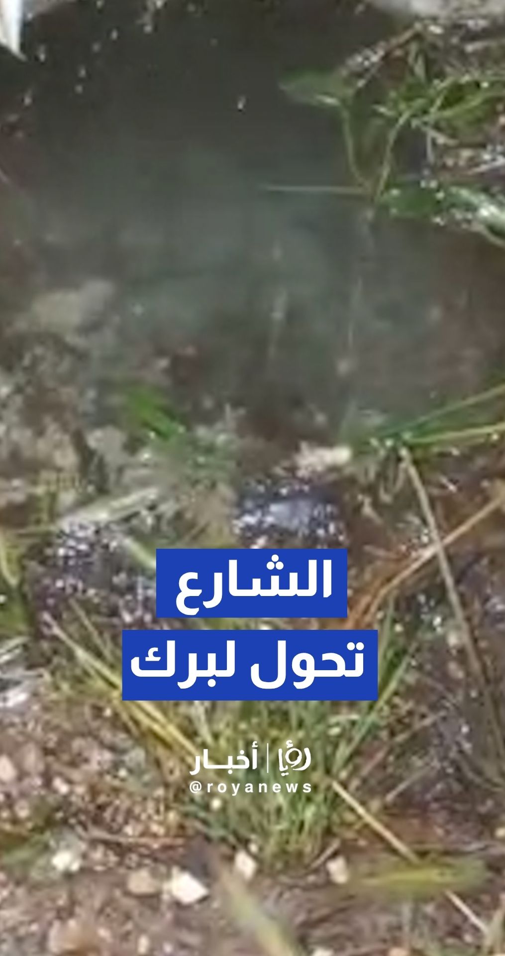 شارع في قرية النهضة بالمفرق يتحول إلى برك بسبب خطوط المياه المكسورة