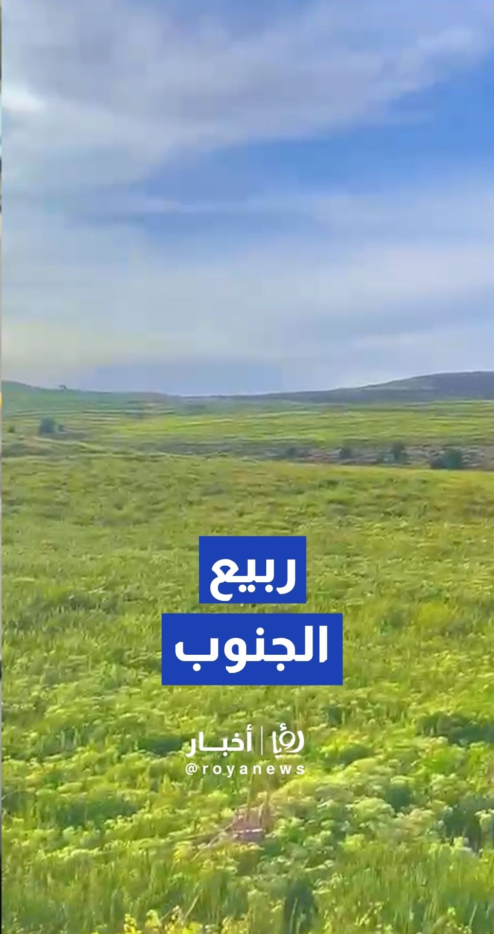 الهيشة تتزين بحلتها الربيعية وتشهد ربيعا استثنائيا