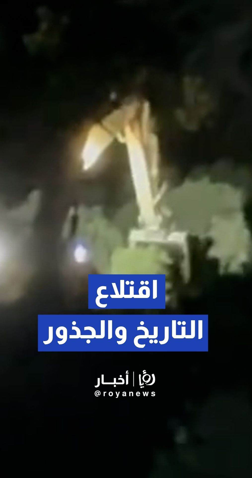 الجيش "الإسرائيلي" ومستوطنون يقتلعون عشرات أشجار الزيتون المعمرة