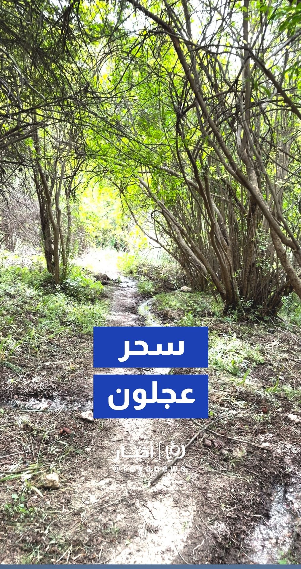 جماليات وادي عرجان وتنوع التضاريس بين الشلالات الصغيرة والكهوف الجبلية