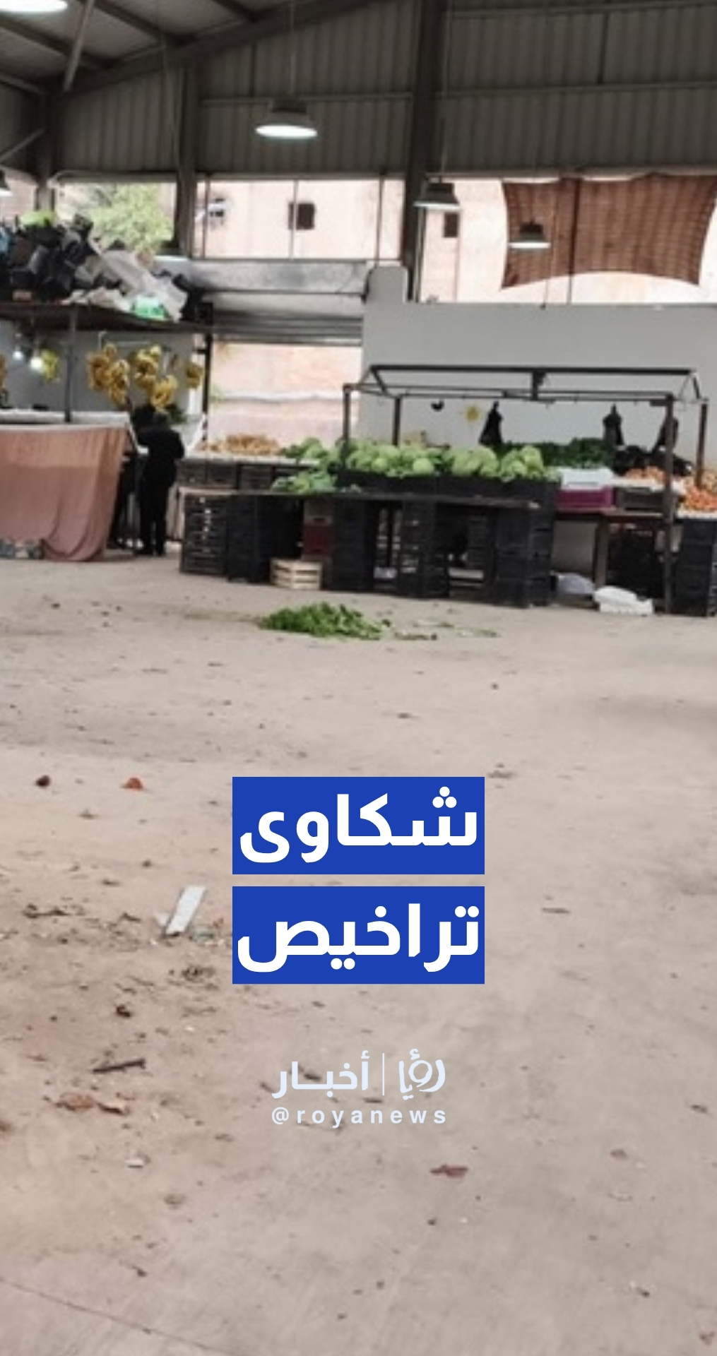 شكاوى من عدم ترخيص محلات الخضار والفواكه في سوق المشارع في الأغوار الشمالية… و رئيس لجنة بلدية طبقة فحل حمزة المومني يوضح