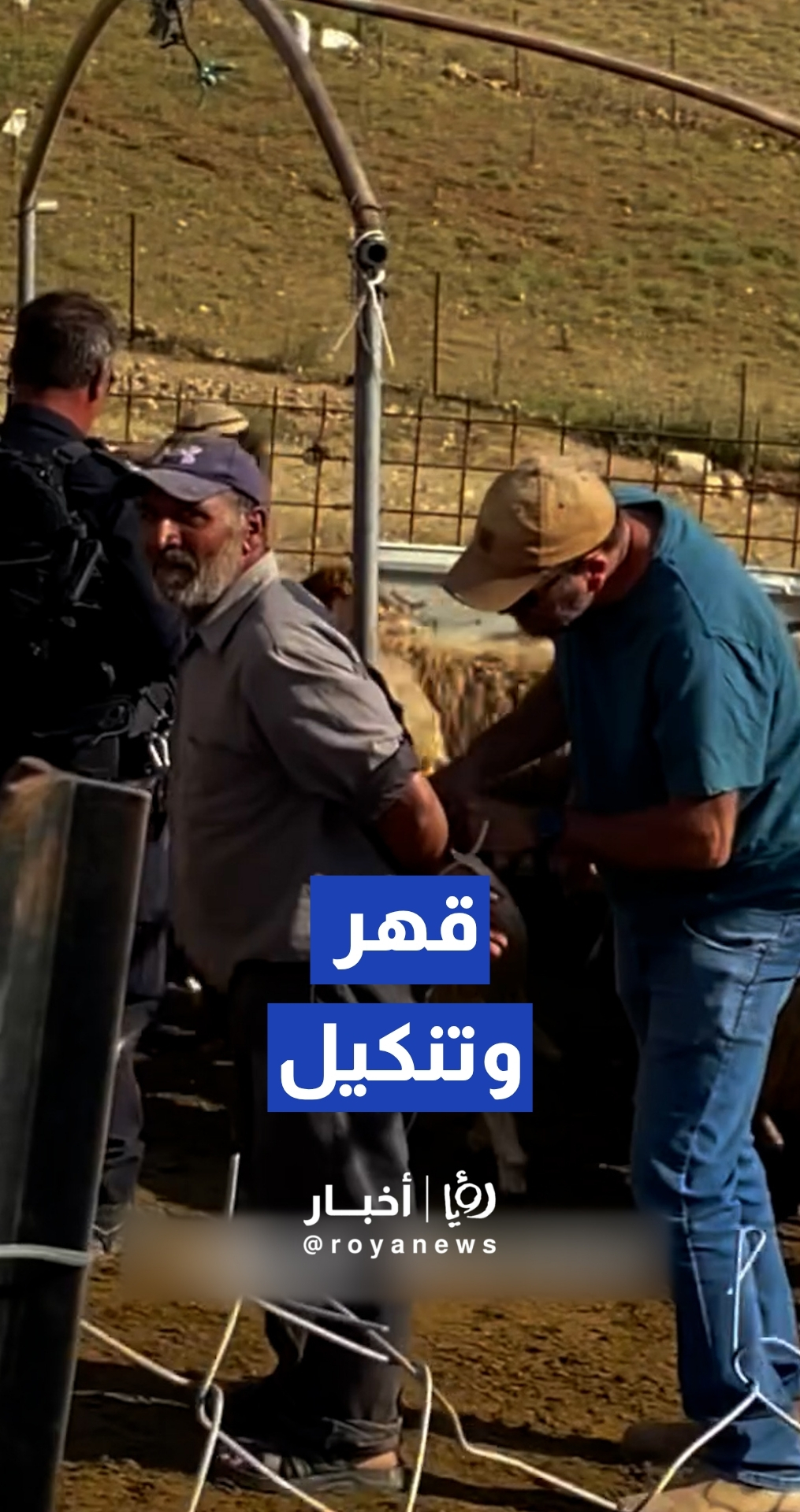 "سرقة وتهجير بقوة السلاح".. مستوطنون يستهدفون أرزاق عائلة فلسطينية في مسافر يطا