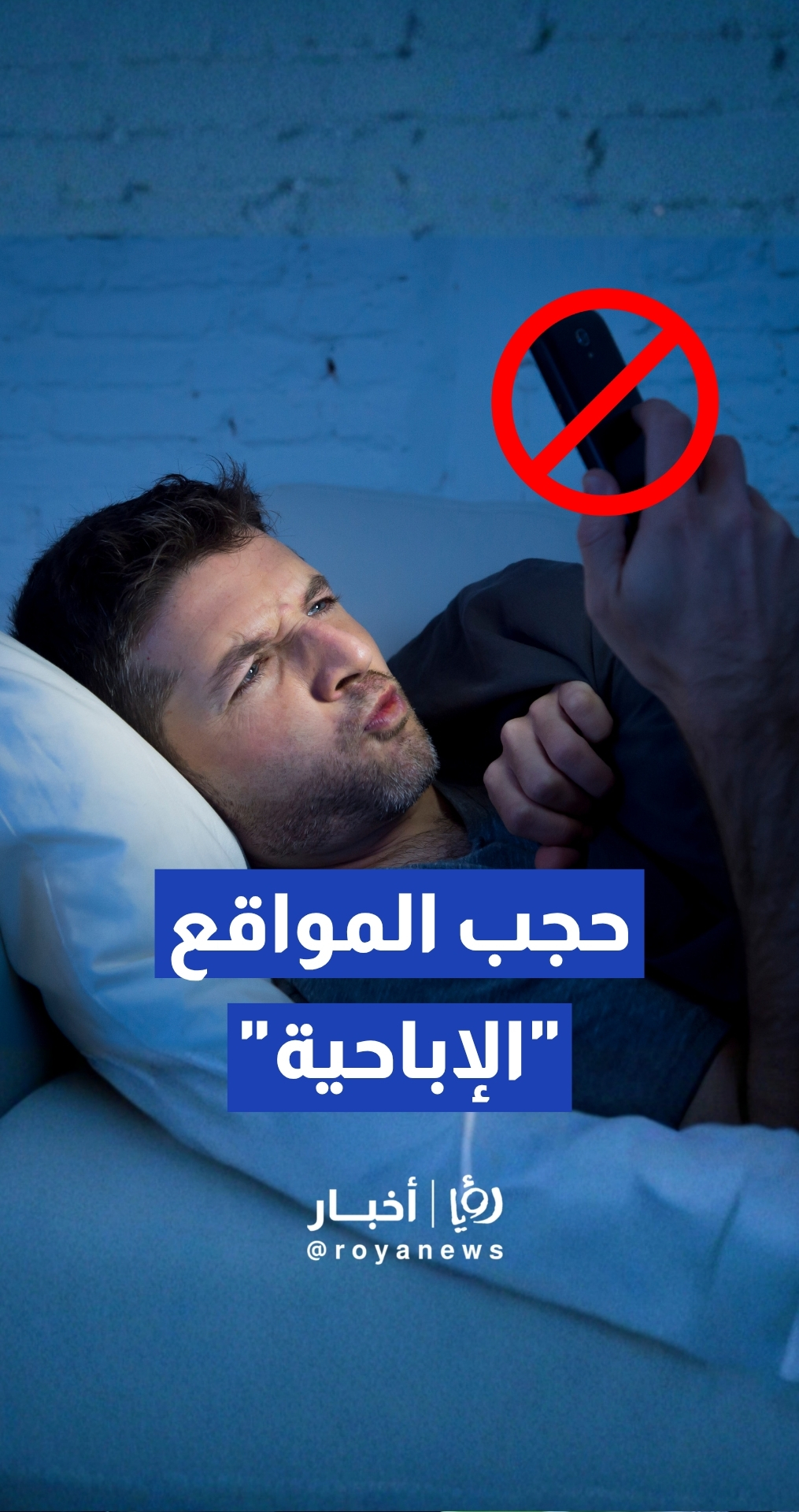 هيئة تنظيم قطاع الاتصالات: حجب المواقع لا يقتصر على "الإباحية" ويمتد للأنشطة الإلكترونية غير المشروعة
