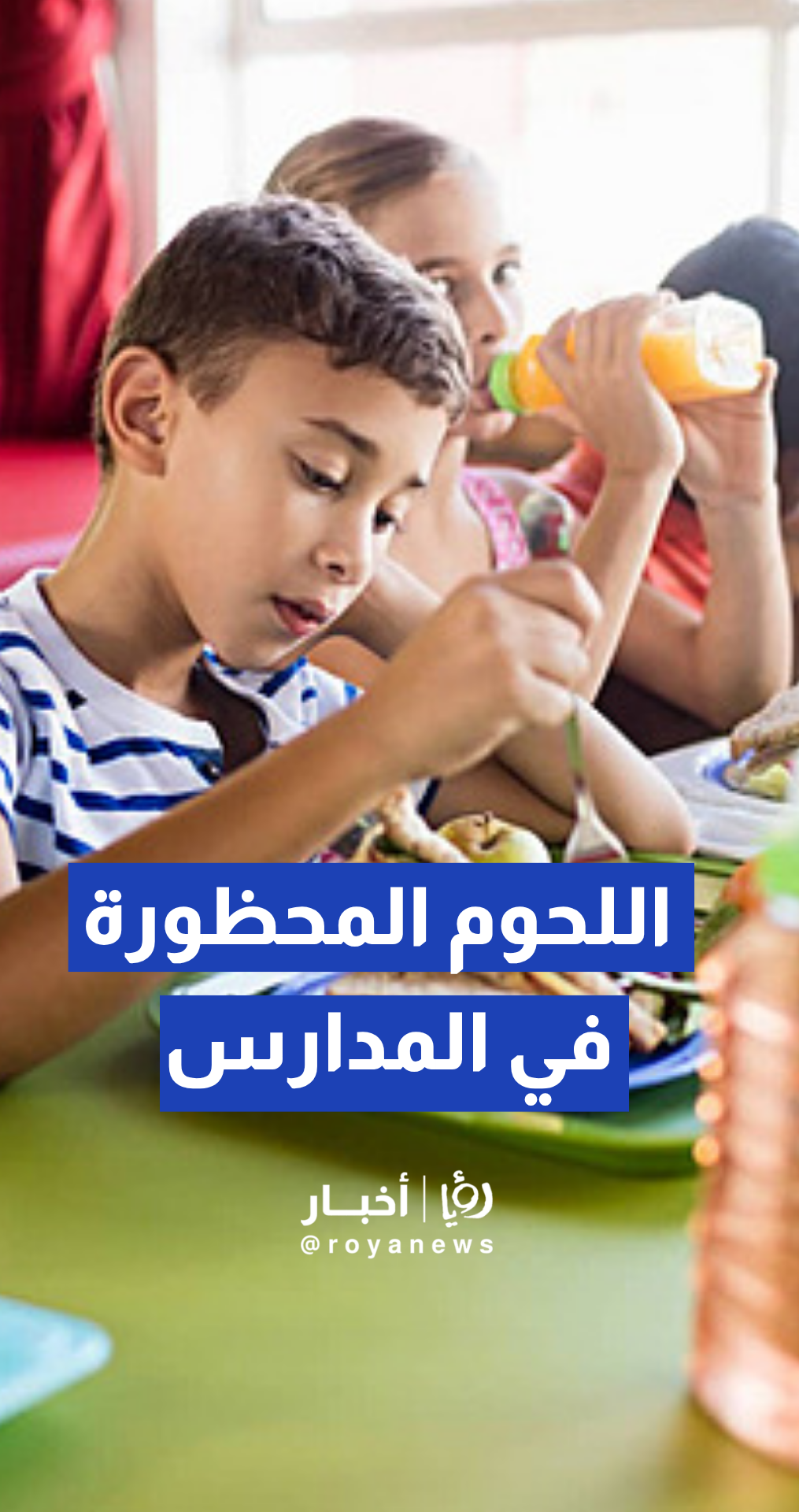 رويدة عبد الله: حظر تداول جميع أنواع اللحوم المصنعة في المقاصف المدرسية