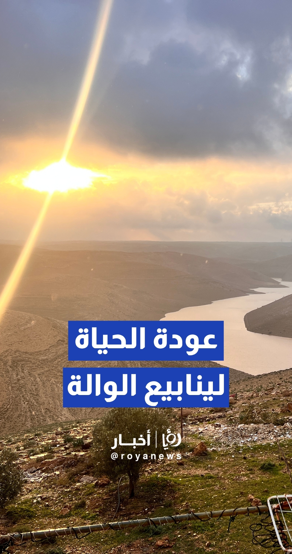 عودة الحياة لينابيع وادي الوالة بعد امتلاء سد الوالة نتيجة للموسم المطري