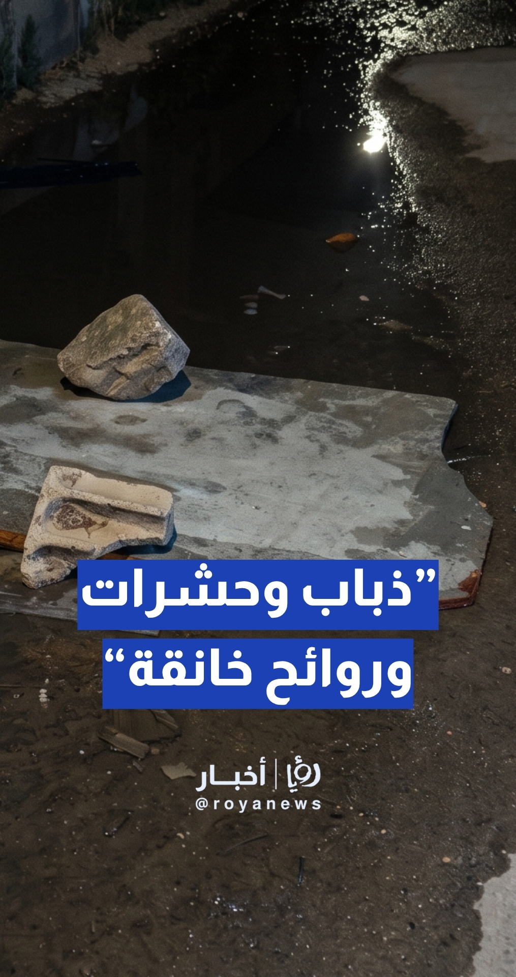 “ذباب وحشرات وروائح خانقة”… معاناة سكان بسبب المياه العادمة في المفرق والبلدية تعلق: ”بنشتغل على الموضوع“