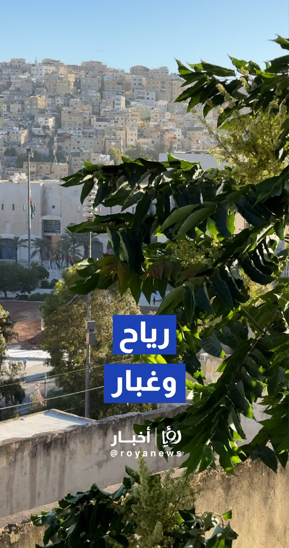 رياح نشطة وأجواء مغبرة في العاصمة عمان
