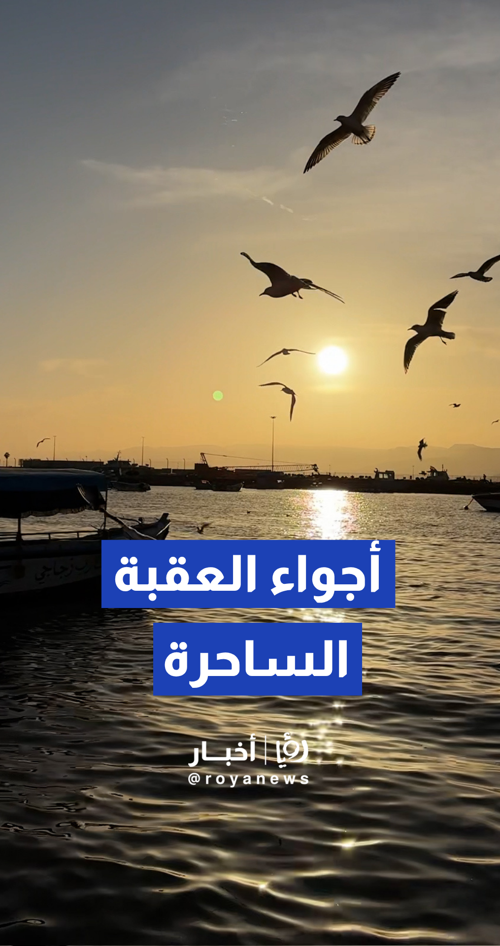 الشمس والموج يرسمان لوحة ساحرة في العقبة