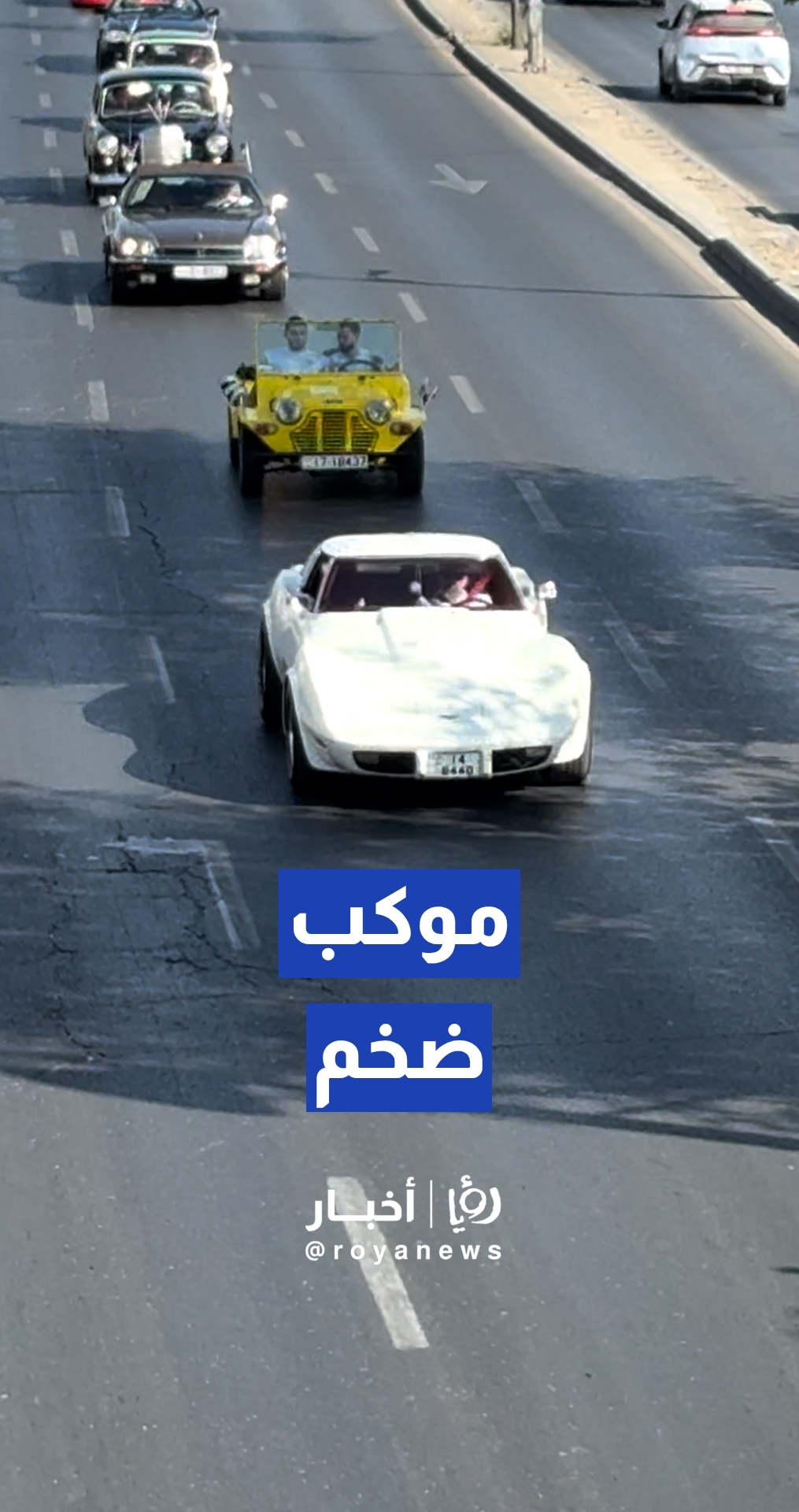 موكب ضخم للسيارات الملكية والكلاسيكية والدراجات احتفالا بعيد الاستقلال
