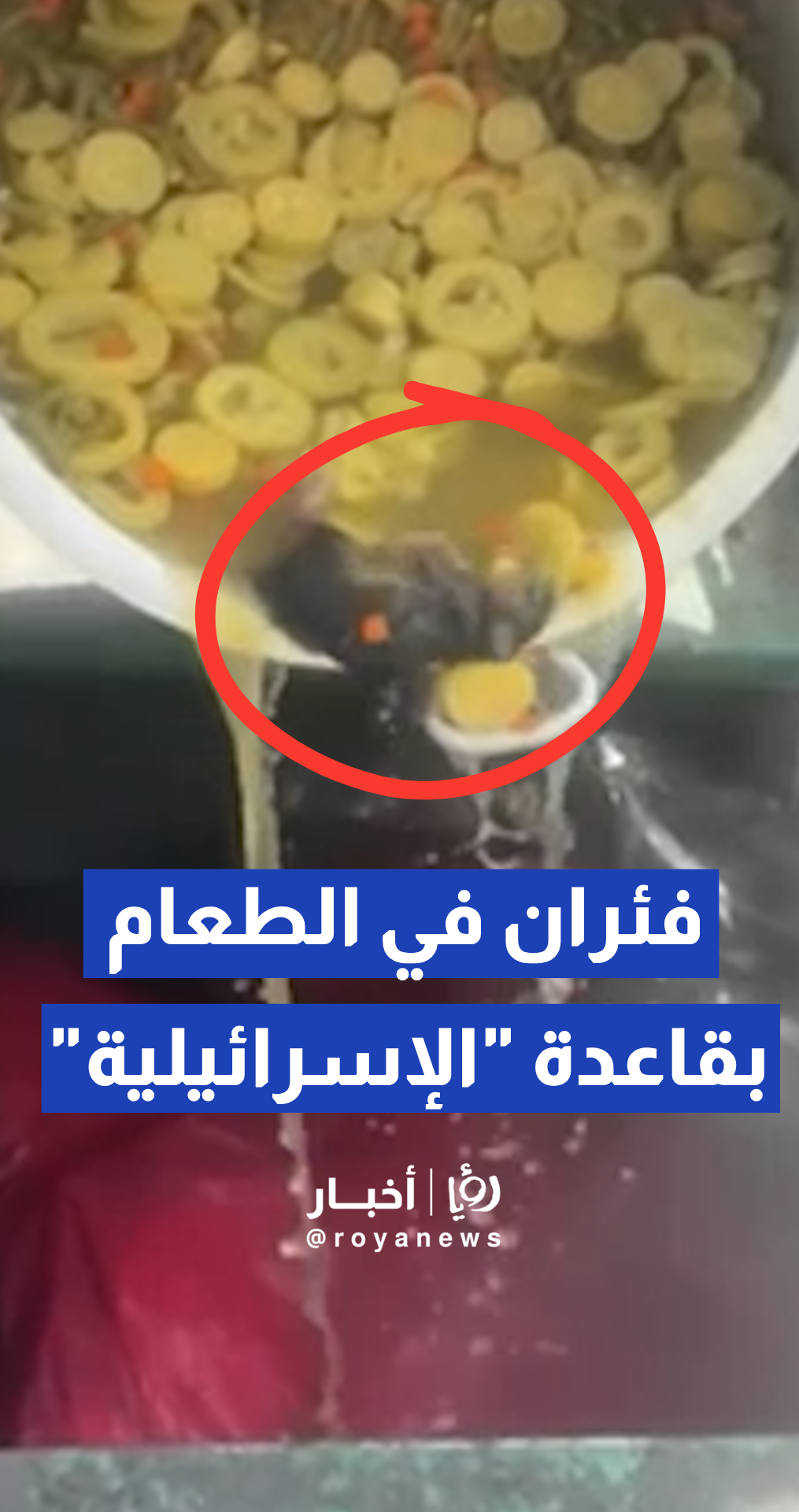 مزاعم بوجود أزمة نظافة حادة في القاعدة البحرية "الإسرائيلية" بحيفا
