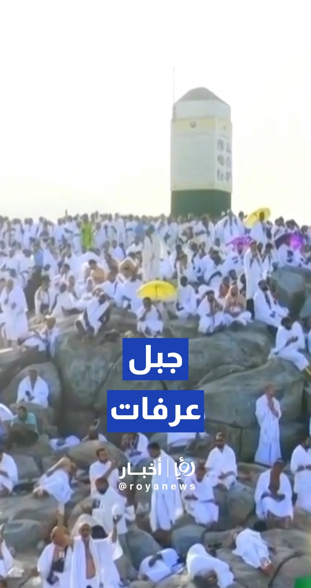 حجاج بيت الله الحرام يصعدون إلى مشعر عرفات لأداء الركن الأعظم