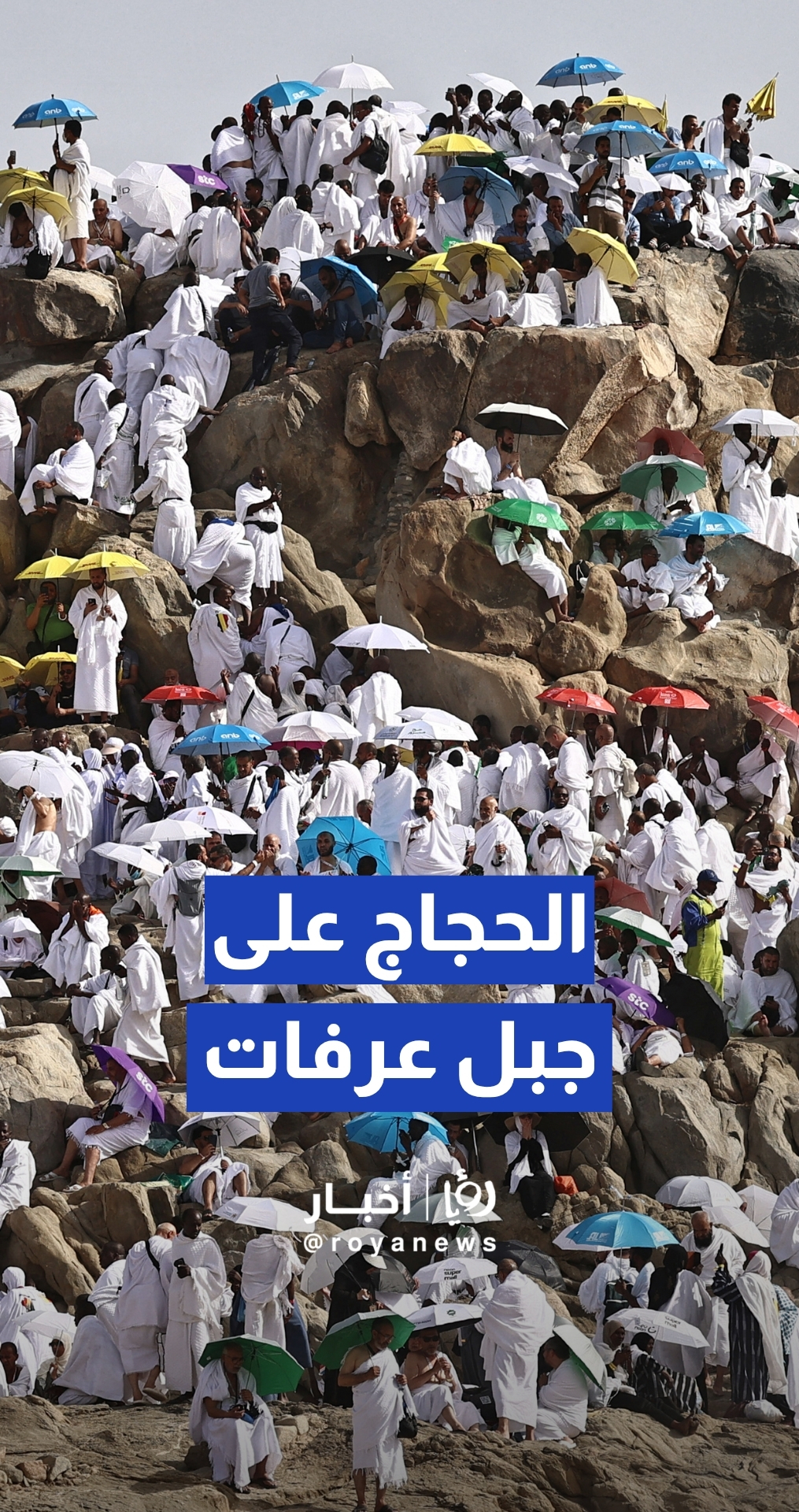 حجاج بيت الله الحرام على جبل عرفات