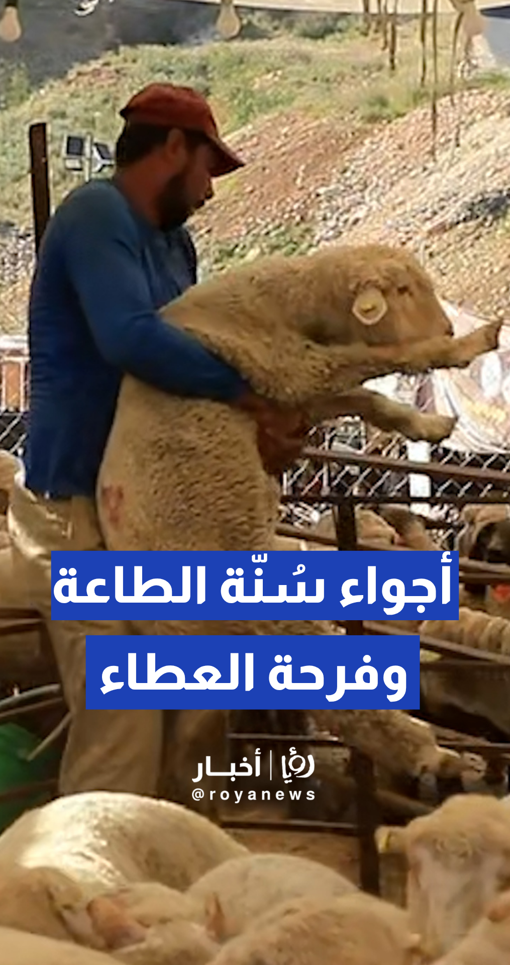 مساحات ومواقع الأضاحي تزهو بنشاط النشامى في أولى أيام العيد