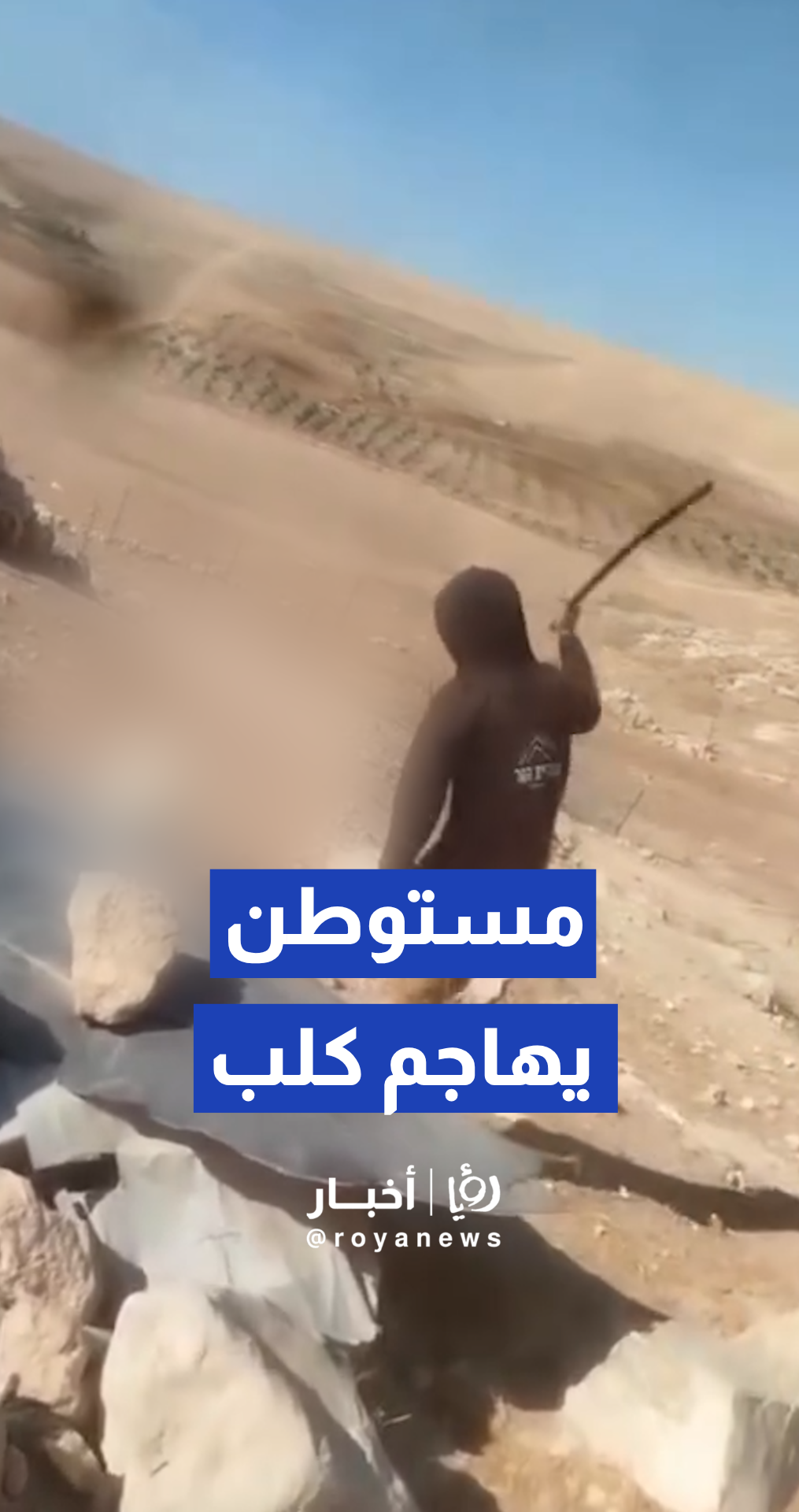 توثيق بالفيديو لمستوطن "إسرائيلي" يضرب كلبا لعائلة فلسطينية في مسافر يطا