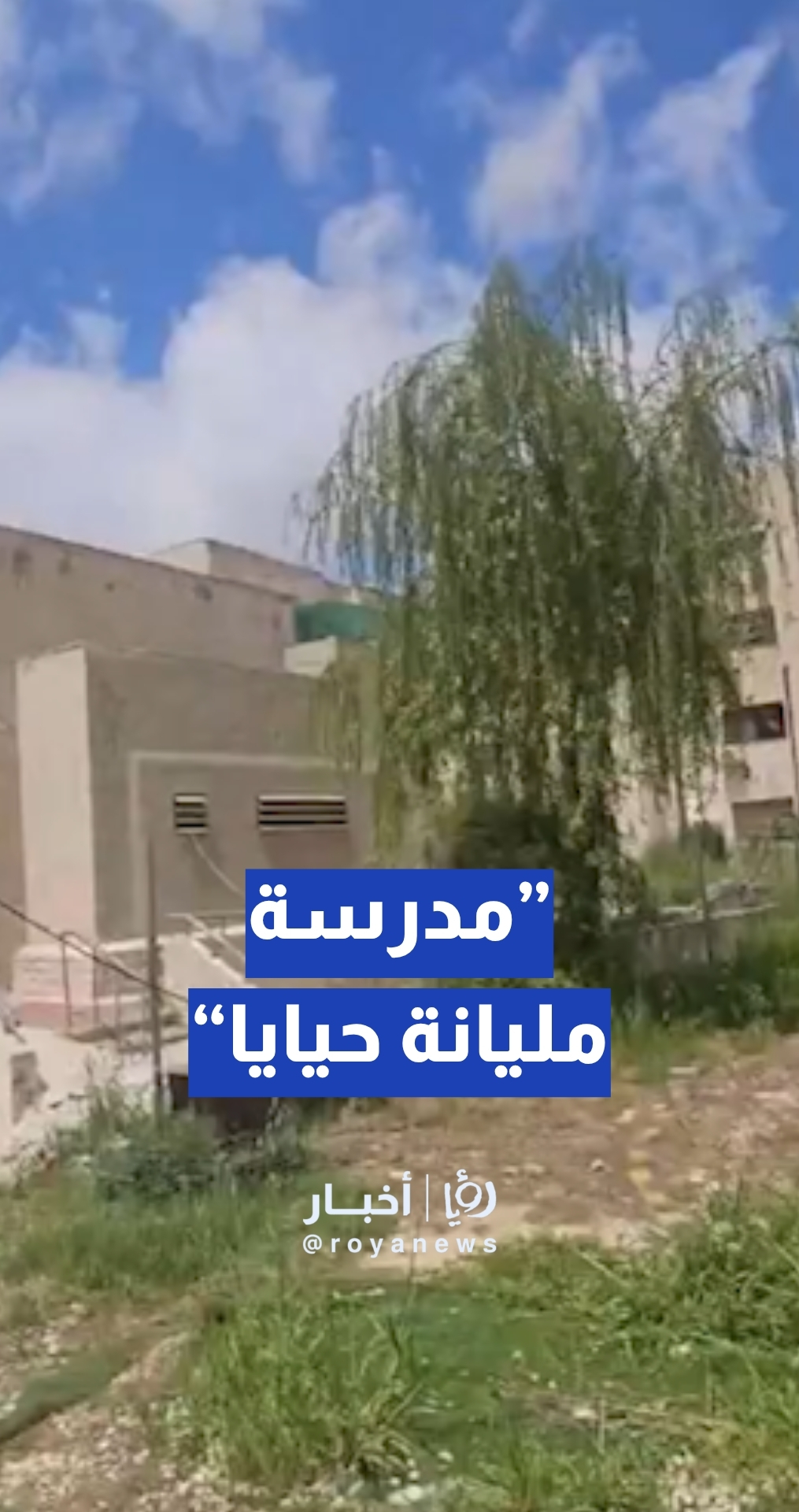 "مليانة حيايا"... مواطن يشكو من مكرهة صحية في مدرسة مجاورة لمنزله