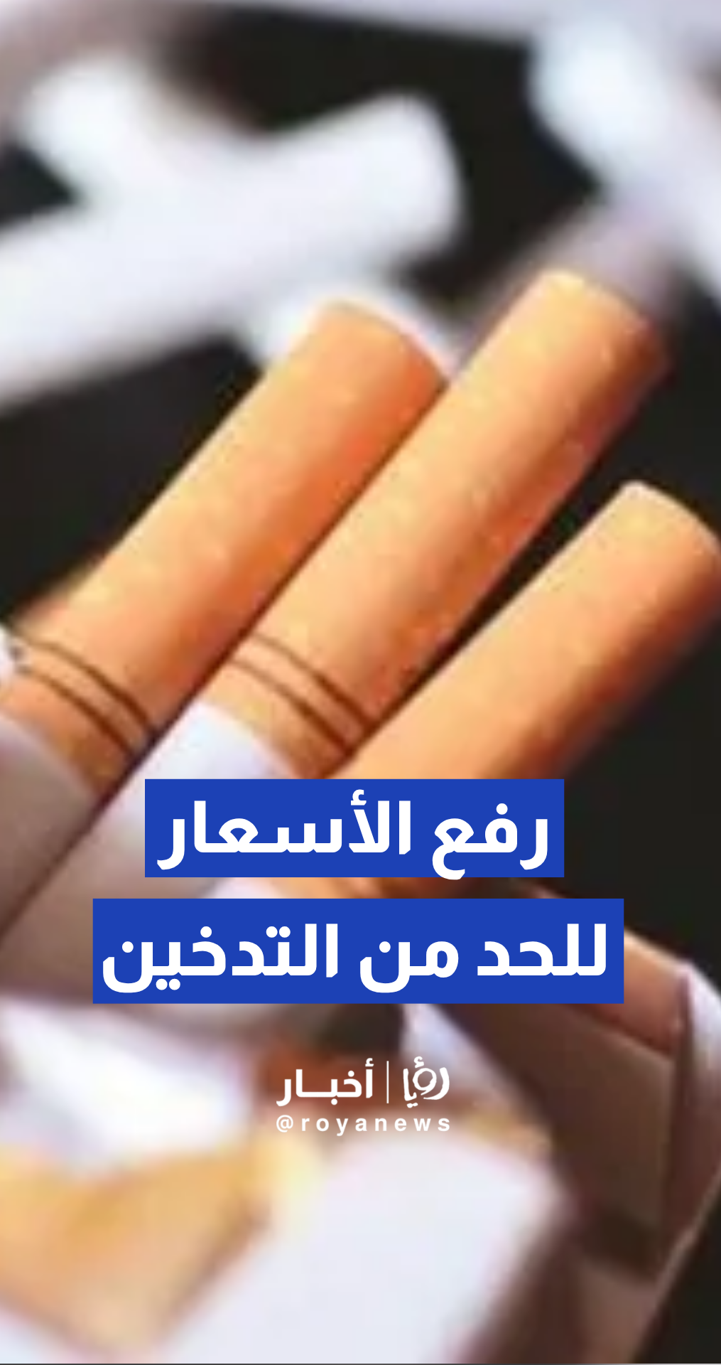المصاروة لـ "رؤيا": رفع الأسعار هو الحل الوحيد لإنقاذ جيوب الأسر وصحة الشباب