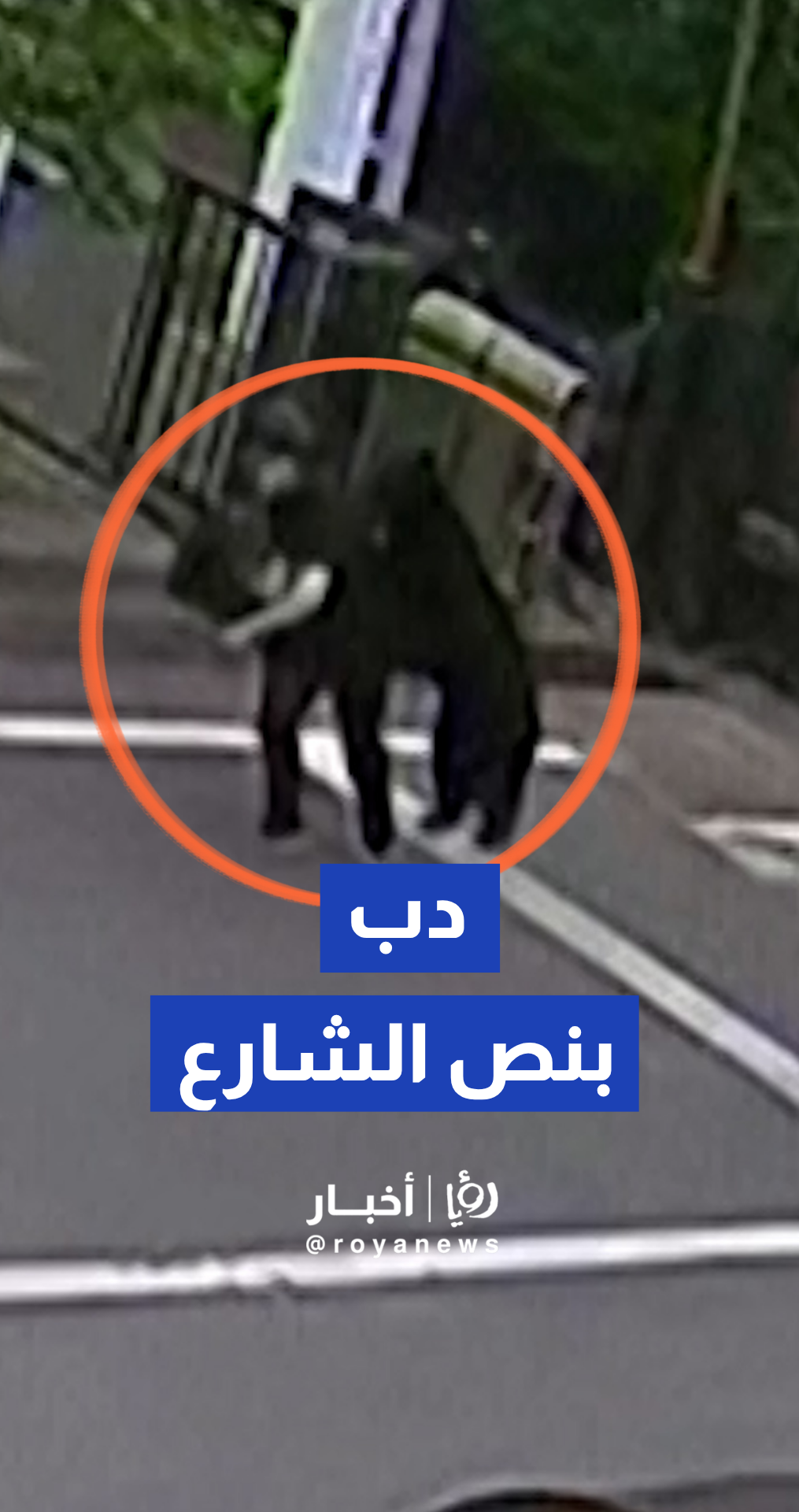 كاميرا مراقبة توثق هجوم دب على عامل داخل منشأة صناعية في اليابان