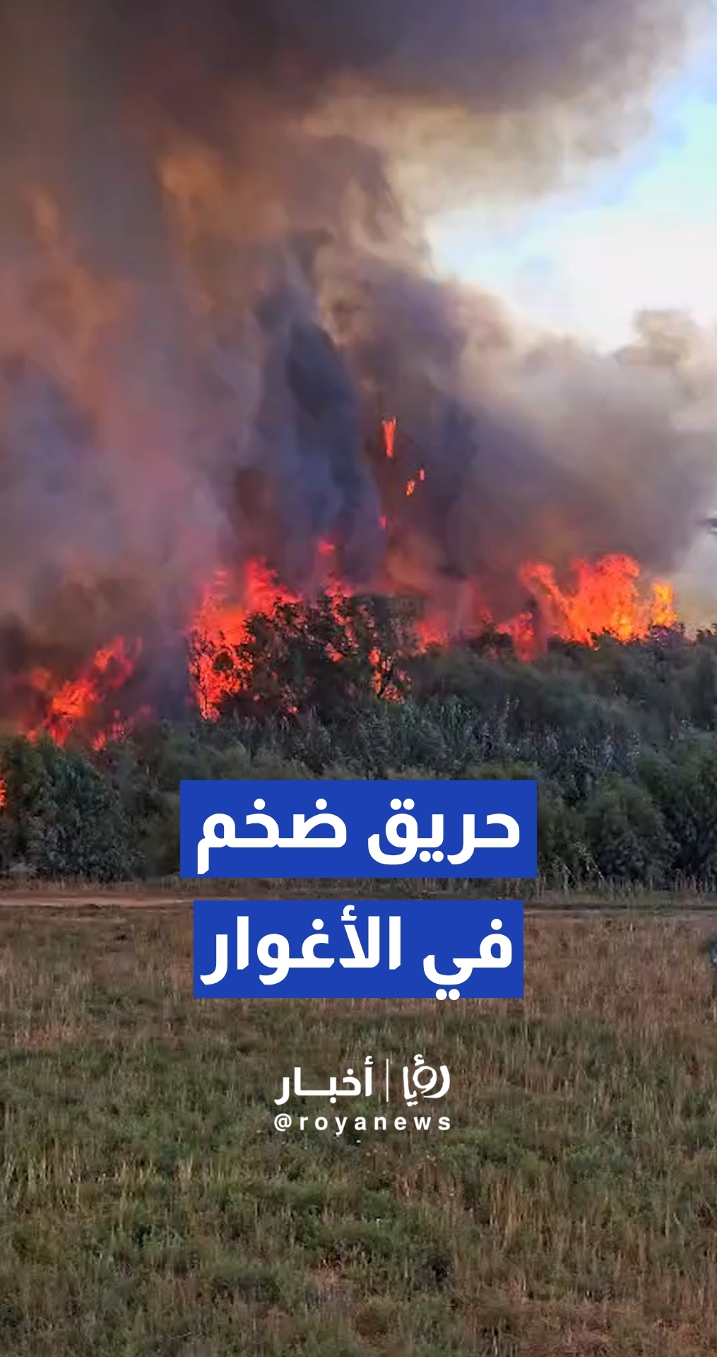 الدفاع المدني يتعامل مع حريق امتد من الأراضي المحتلة إلى منطقة كريمة في الأغوار الشمالية