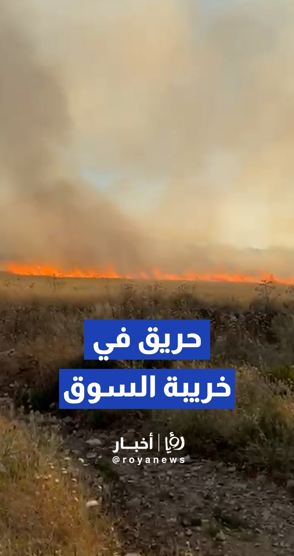 حريق أعشاب جافة في خريبة السوق بالعاصمة عمان