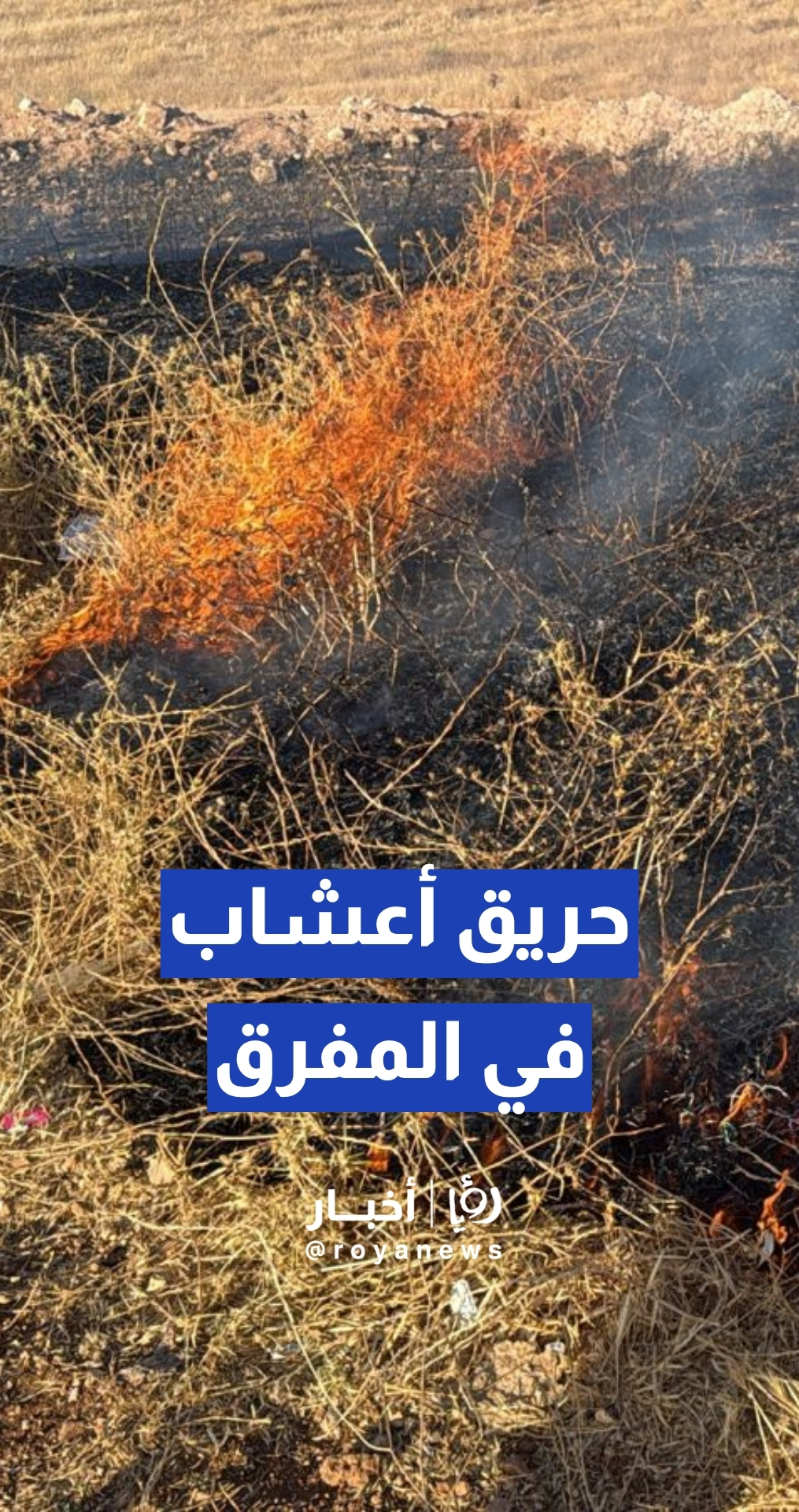 دفاع مدني المفرق يسيطر على حريق التهم 4 دونمات من الأعشاب الجافة في رحاب دون وقوع إصابات