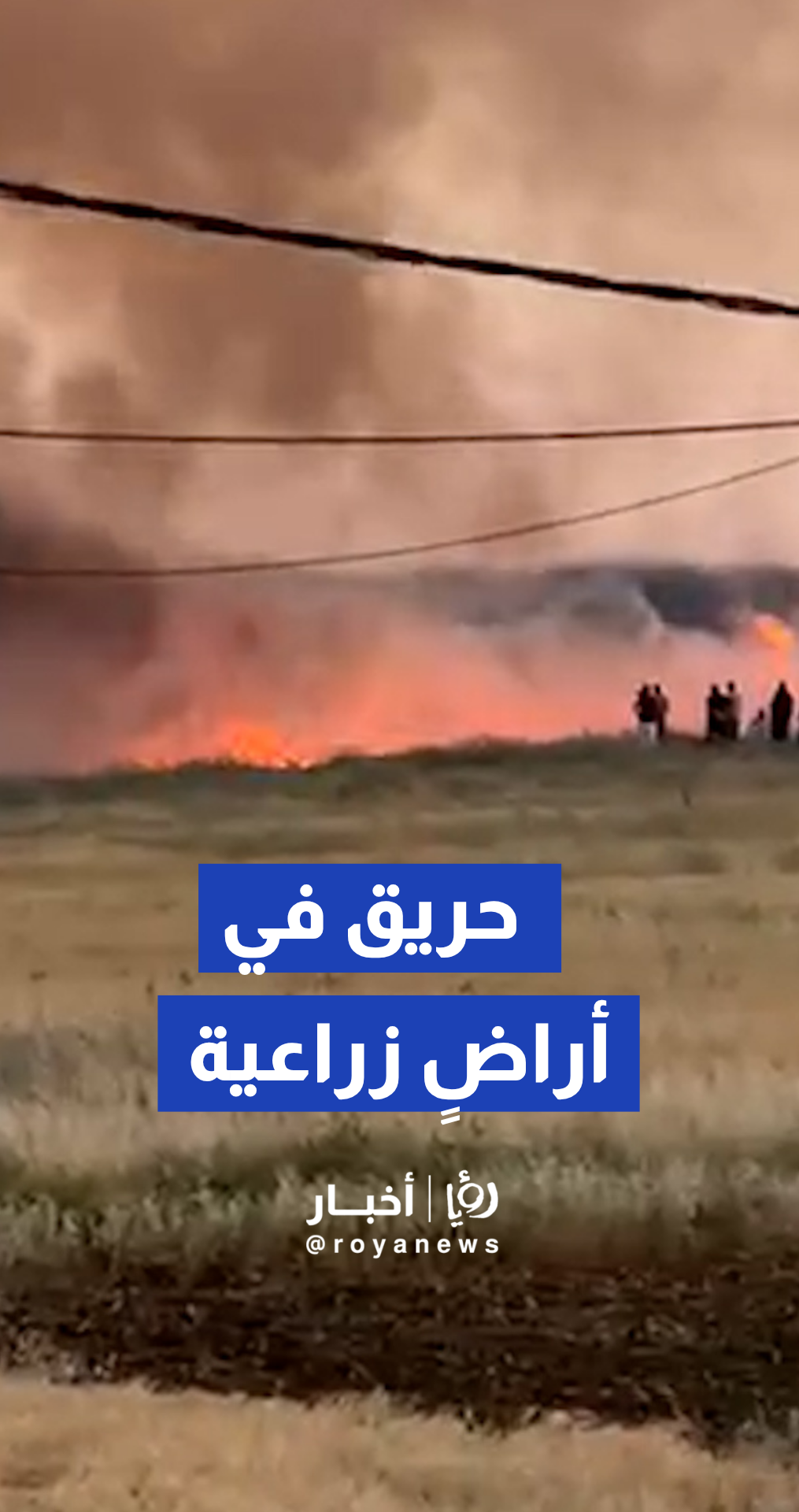 اندلاع حريق في أراض زراعية وأعشاب جافة غرب بلدة مؤتة بمحافظة الكرك