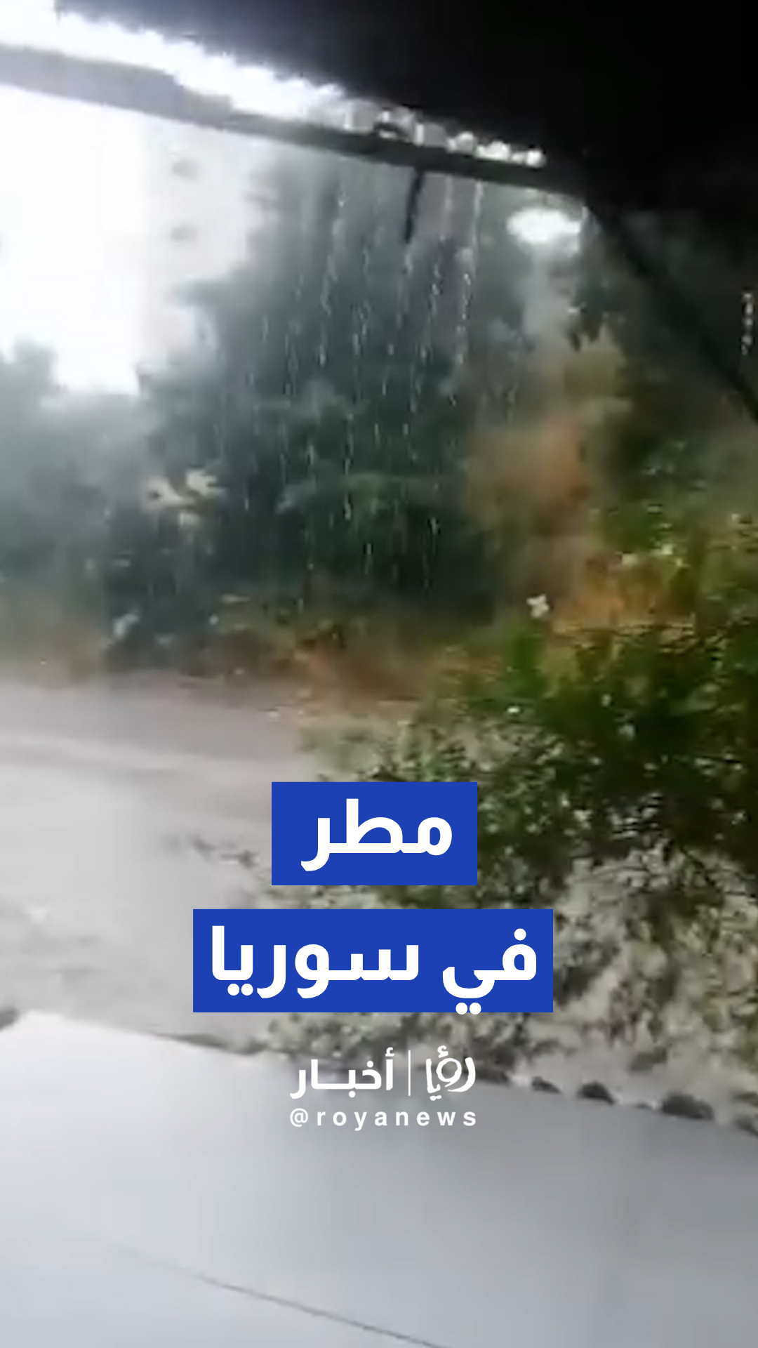 هطولات مطرية غزيرة تشهدها منطقة وادي قنديل بريف اللاذقية