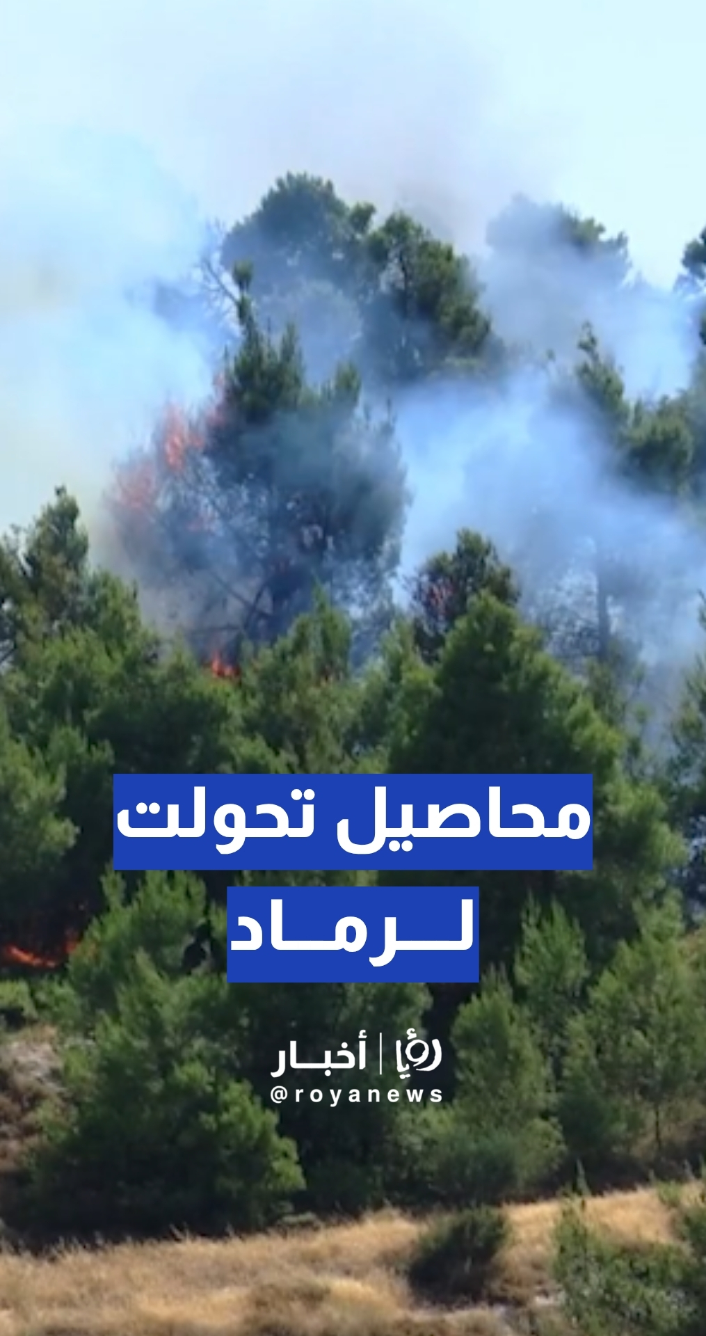 420 دونم قمح و120 دونم شعير تحولت إلى رماد..تعادل 130 طنا... تفاصيل