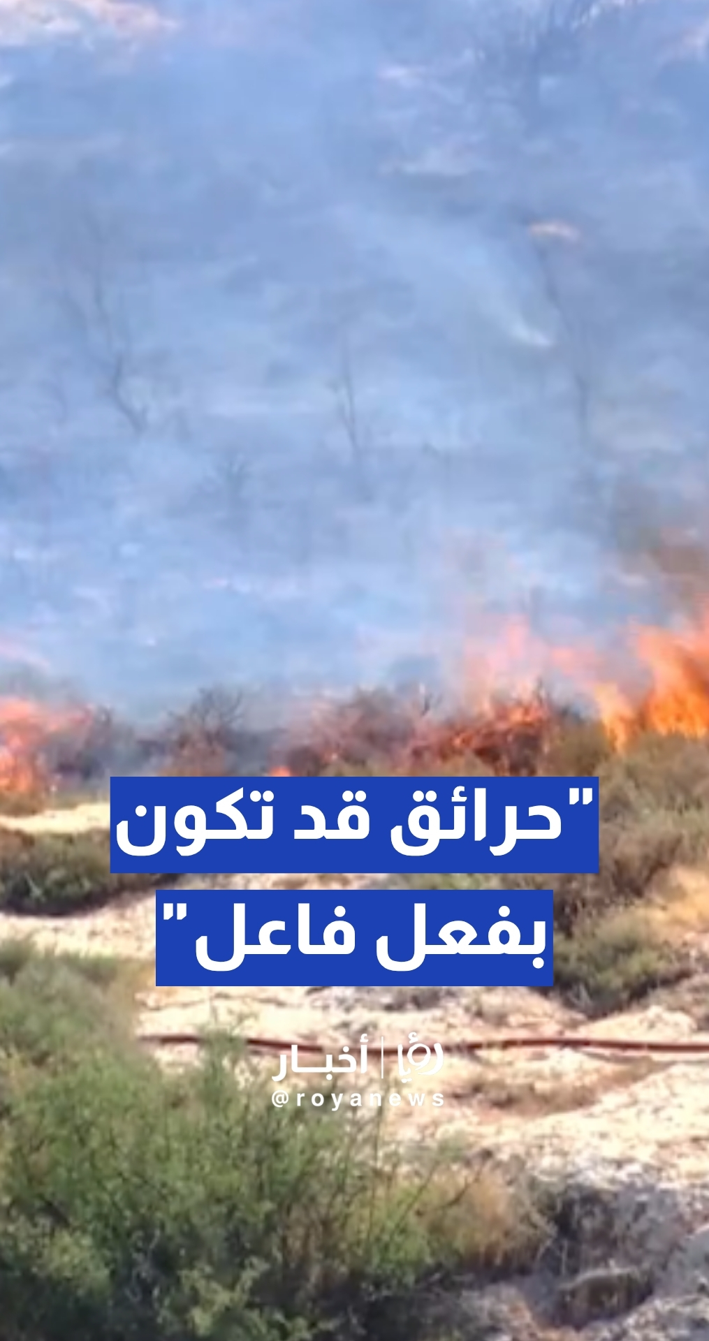 قطيشات: حرائق محاصيل القمح والشعير قد تكون بفعل فاعل