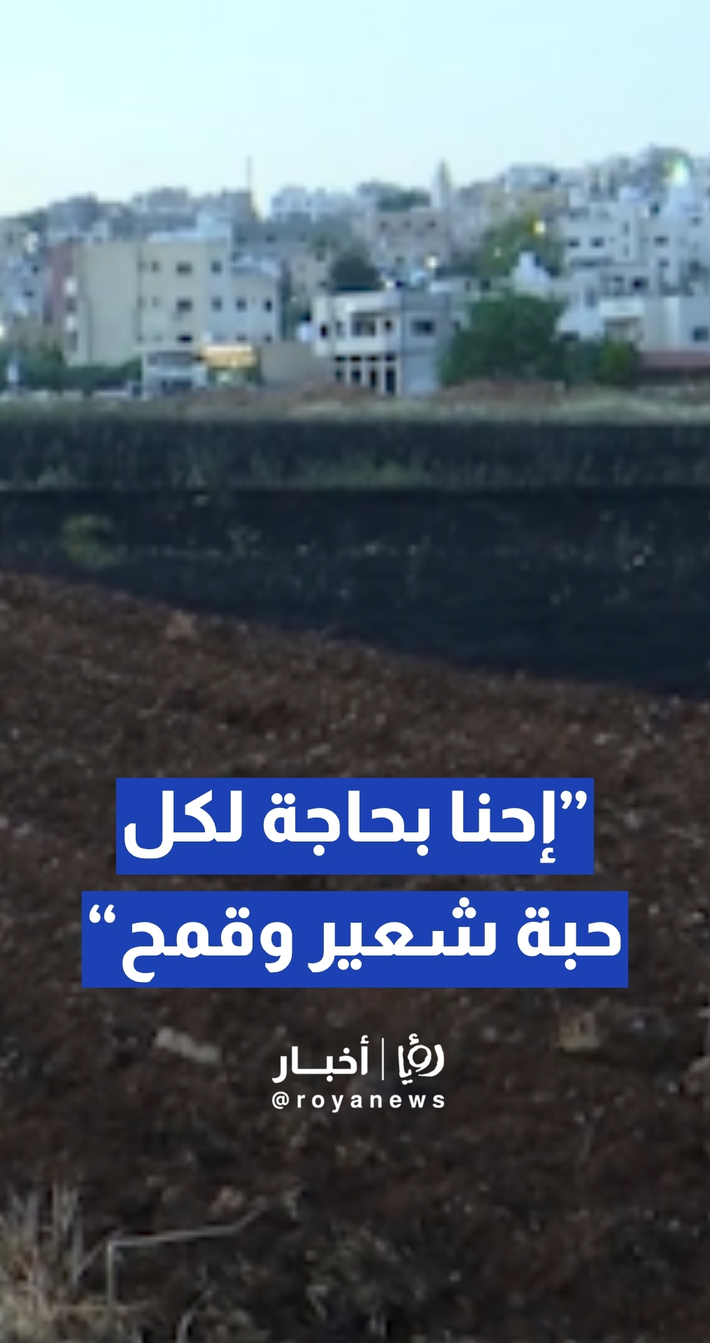 المراعية: نحن بحاجة لكل حبة قمح وحبة شعير