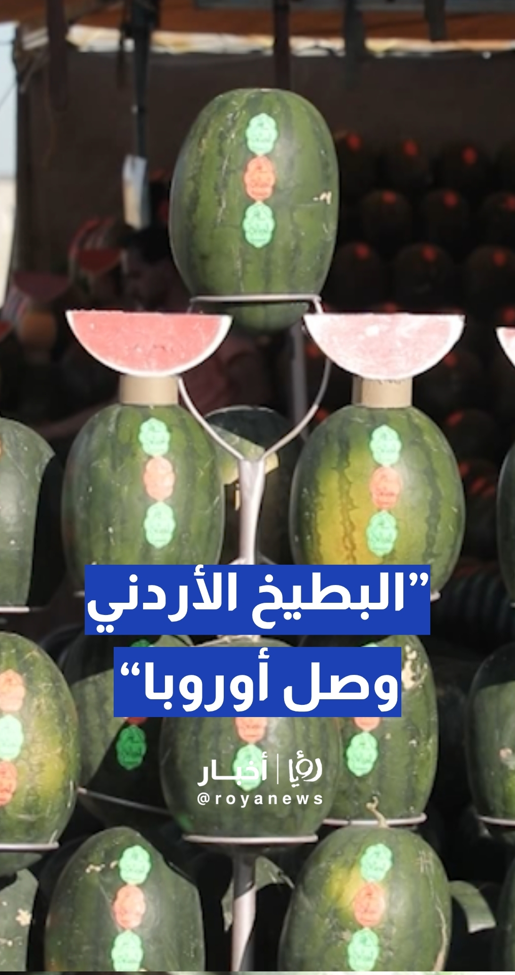 وزارة الزراعة: البطيخ الأردني مطلوب... وصلنا أوروبا وشرق أوروبا وكندا