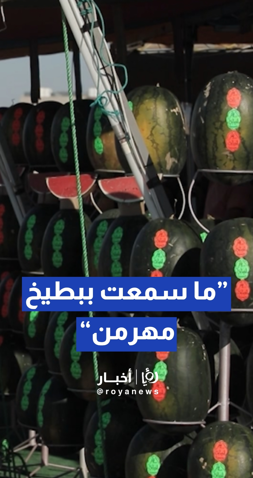 أبو الغنم: البطيخ داخل السوق المركزي مراقب... وما سمعت ببطيخ مهرمن