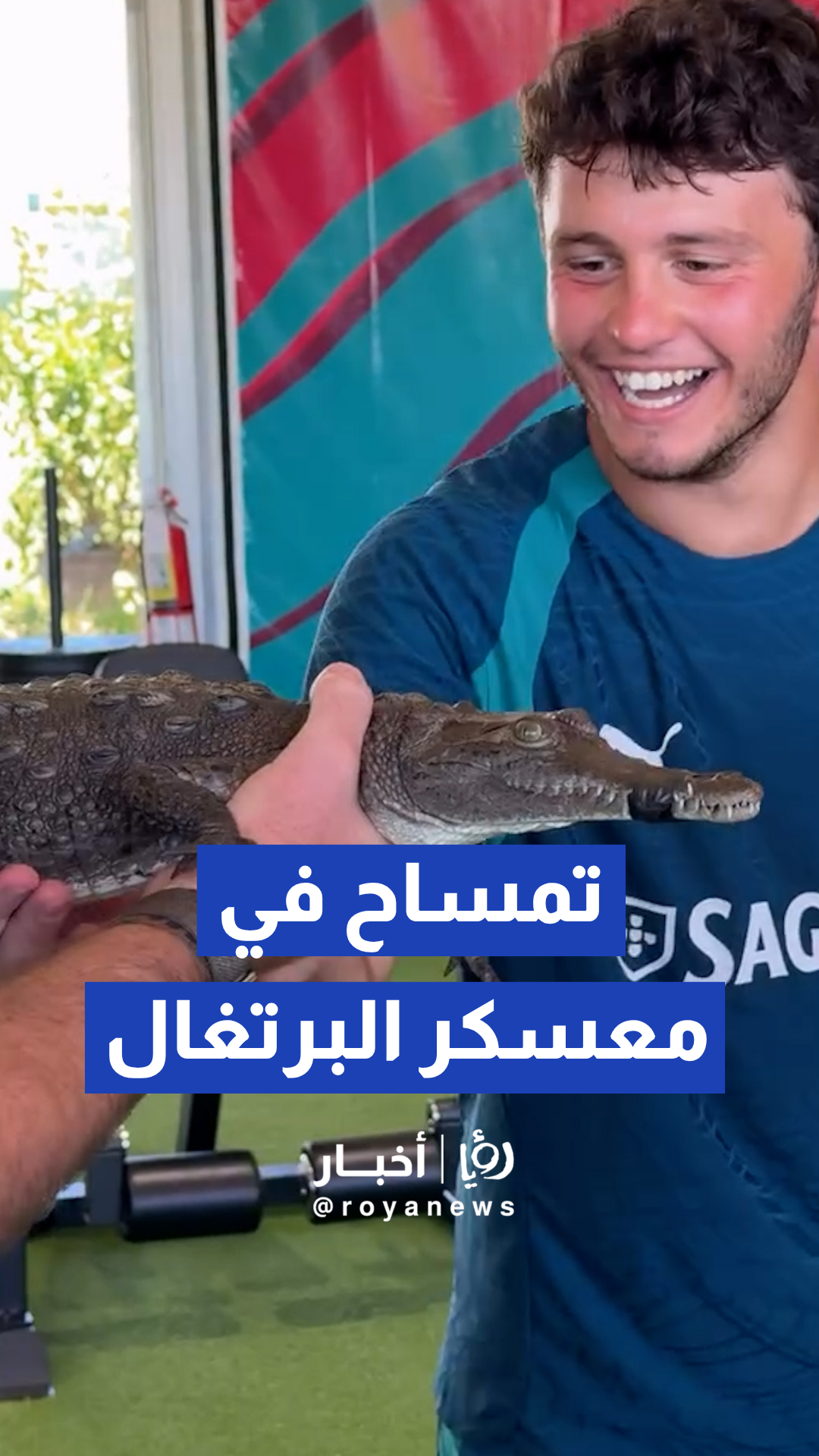 مقطع طريف يوثق مداعبة اللاعب جواو نيفيز لتمساح صغير