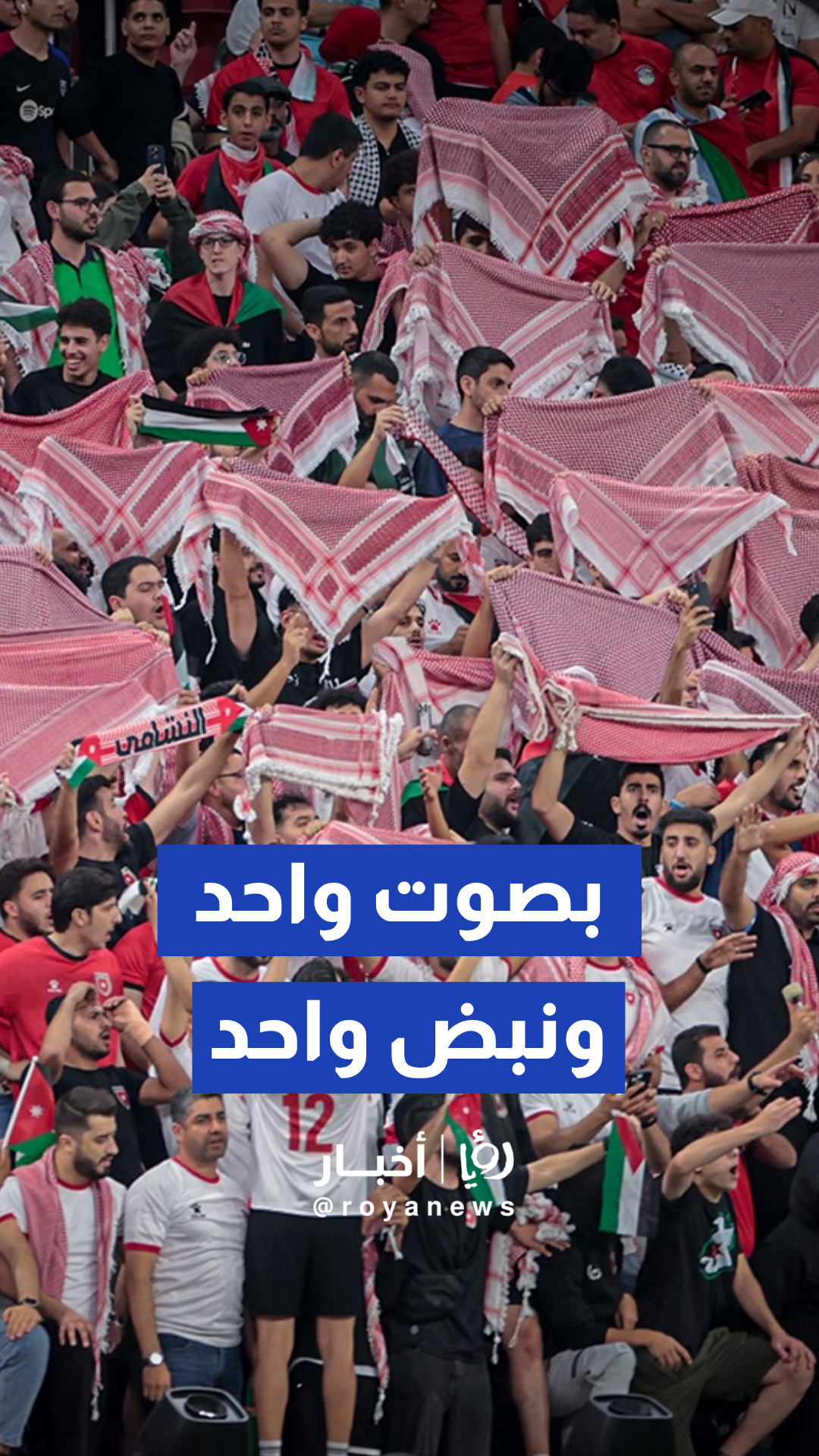 وزارة الشباب تعلن عن 3 مواقع عملاقة لمؤازرة منتخب النشامى
