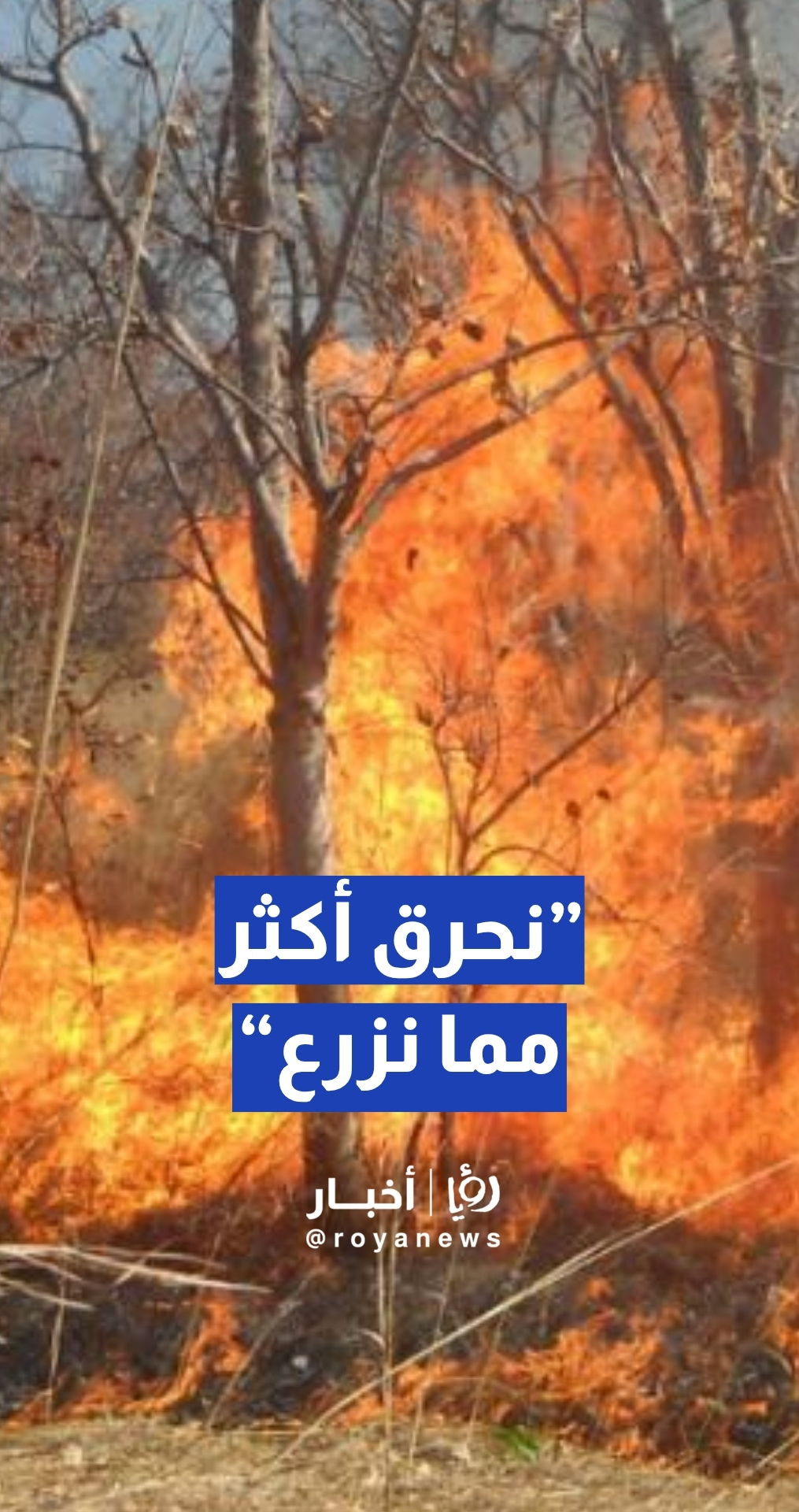 قطيشات: نحن نحرق أكثر مما نزرع