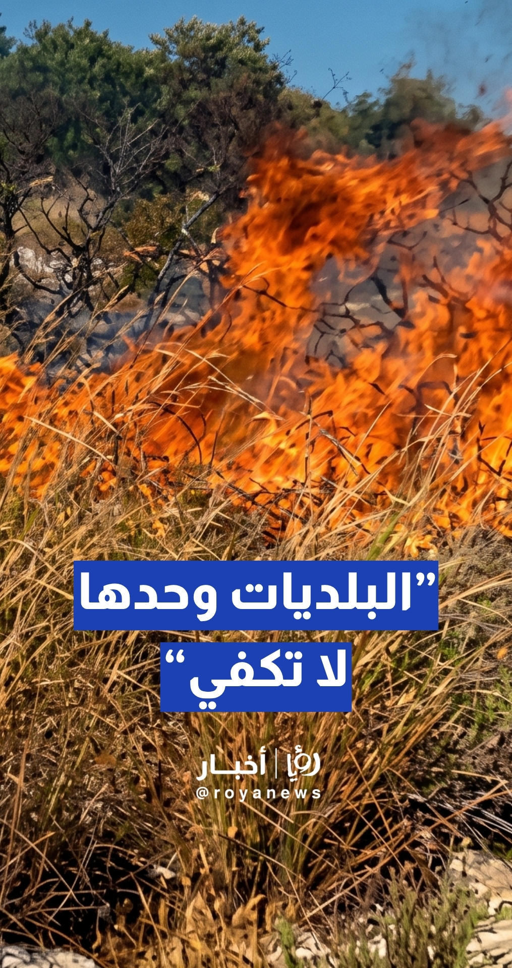 الرحامنة: البلديات وحدها لا تكفي... وهذه خطة مواجهة حرائق الأعشاب