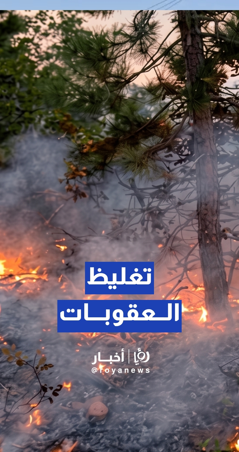 الرحامنة: لا بد من تغليظ العقوبات على كل من يتسبب بأي حريق