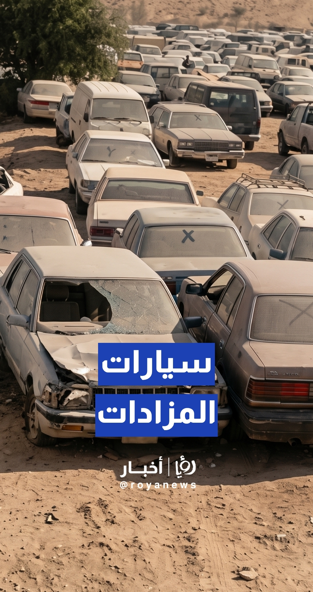 فحوصات غير مطابقة في المزادات الحكومية للسيارات... أبو الريش يعلق