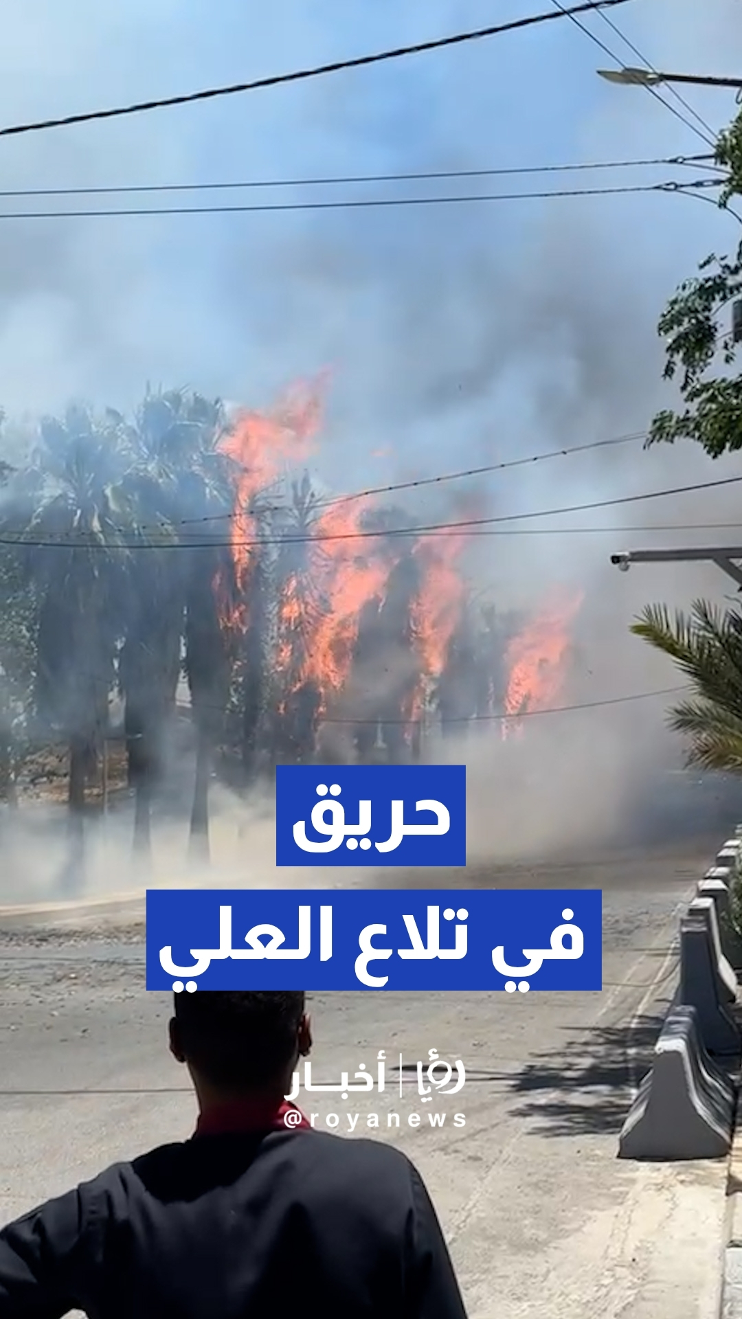 كوادر الدفاع المدني تتعامل مع حريق في منطقة تلاع العلي