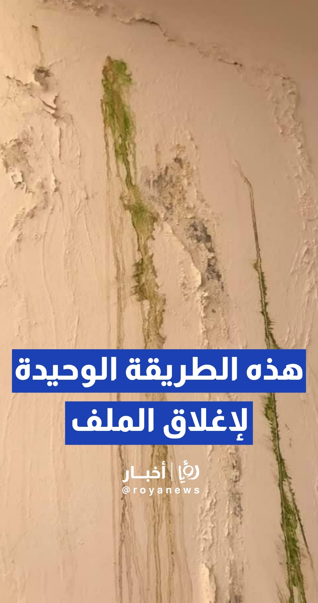 مجمع وادي موسى السياحي... السواعير: هذه هي الطريقة الوحيدة لإغلاق الملف