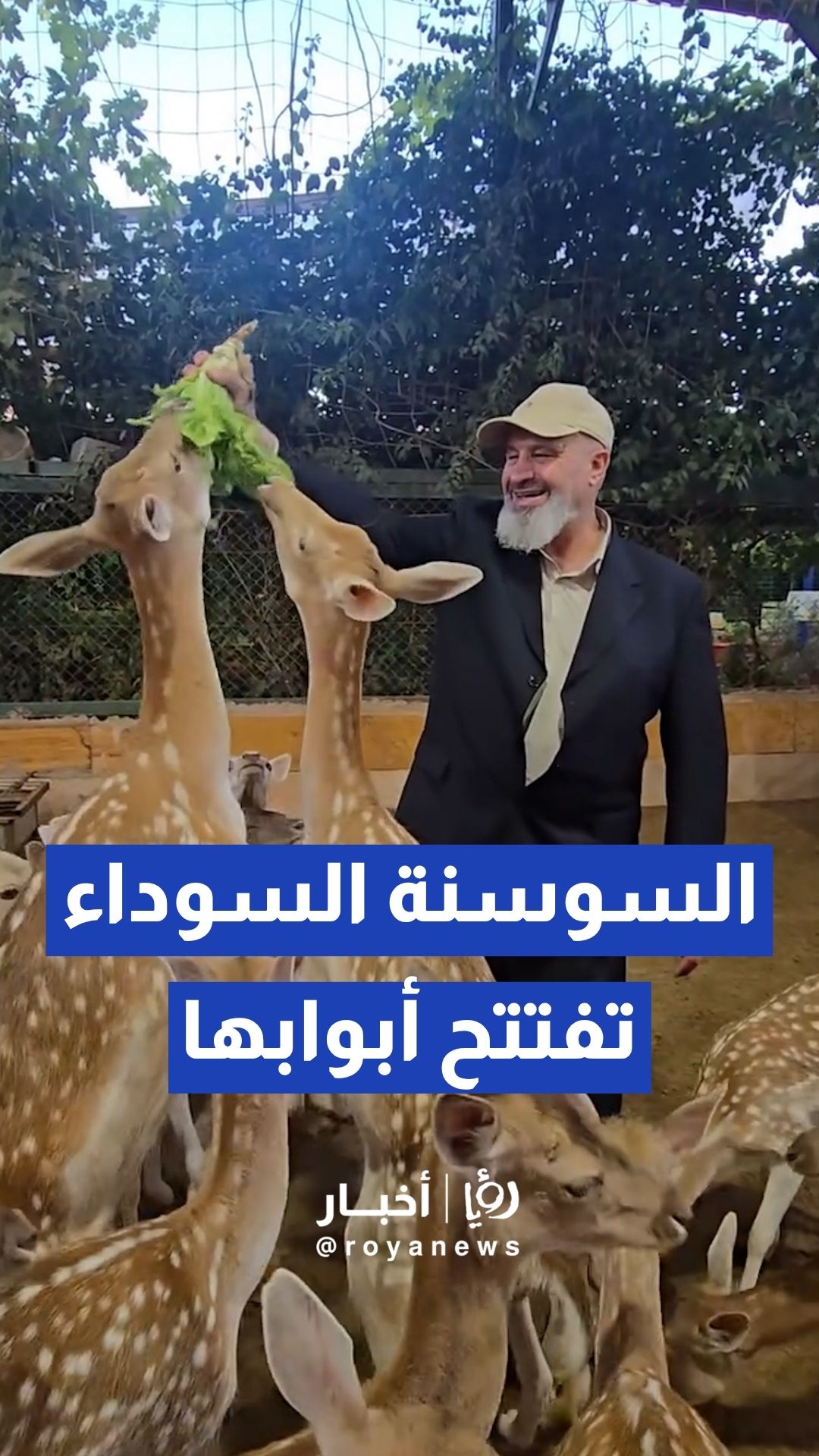 إعادة افتتاح حديقة "السوسنة السوداء" للحيوانات بعد صدور قرار قضائي "السوسنة السوداء"