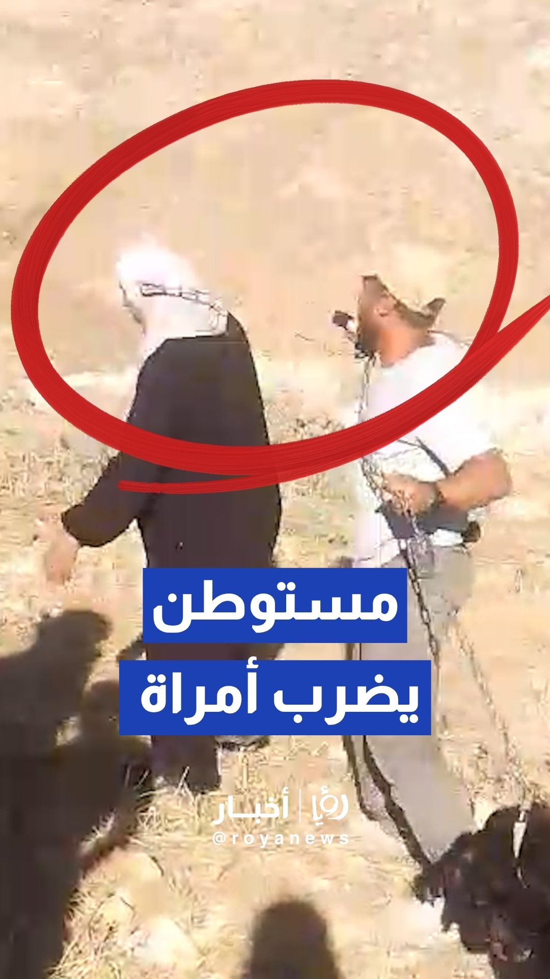 مستوطنون يعتدون على النساء في منطقة حوارة بمسافر يطا جنوب الخليل