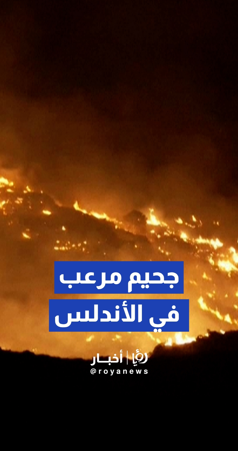 لقطات مروعة تبرز قسوة حرائق الغابات التي ضربت جنوب إسبانيا ليلا